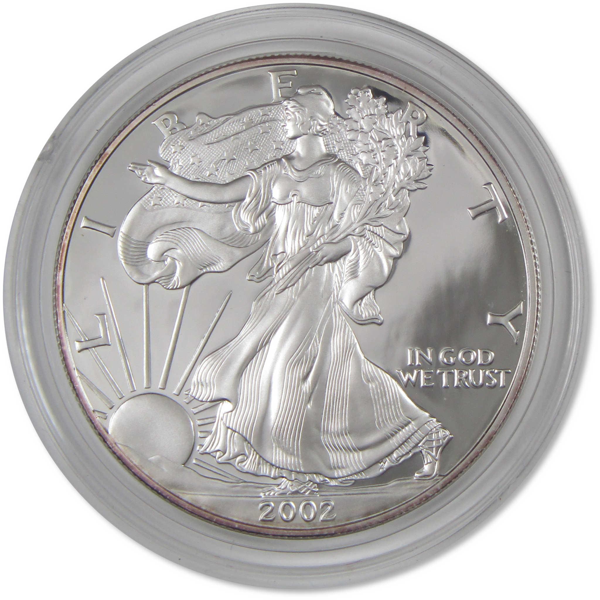 2002 W American Silver Eagle Choice Proof Bullion $1 Coin OGP COA