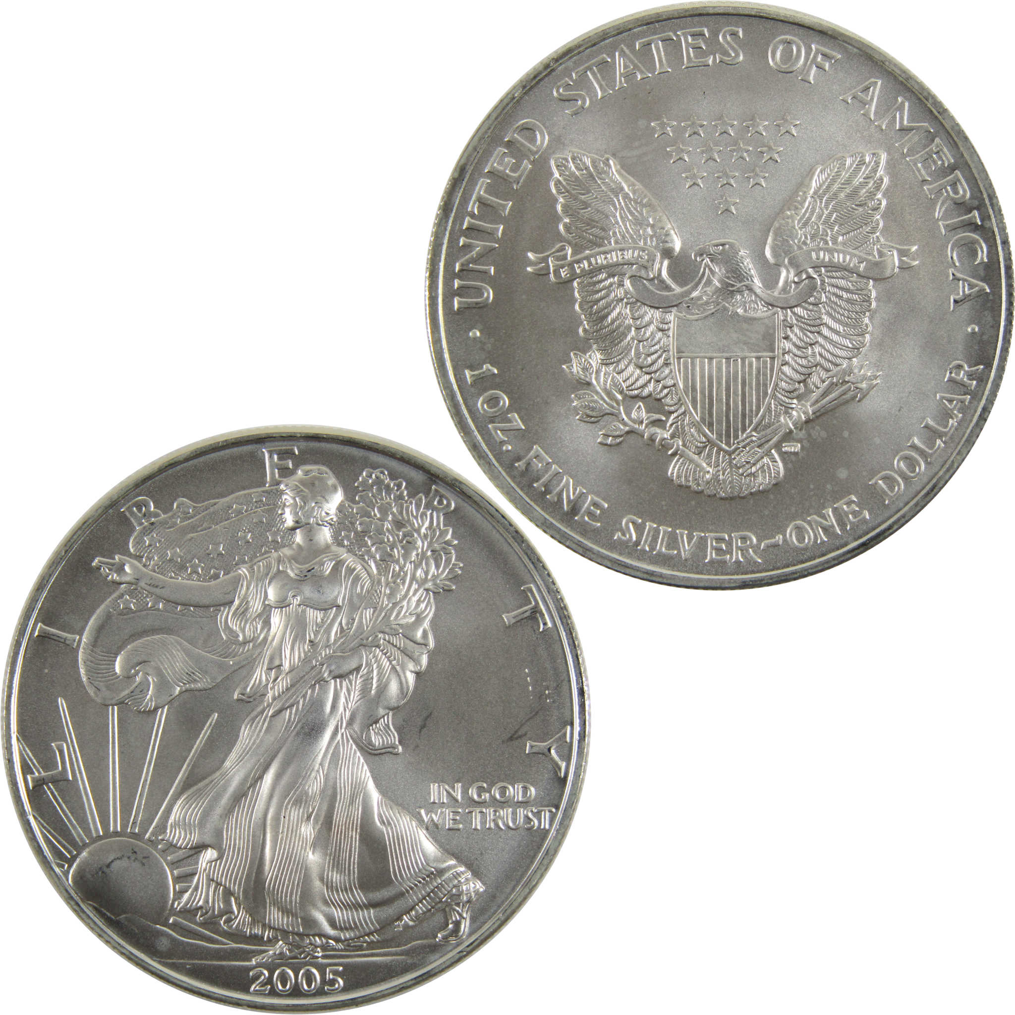 2005 American Eagle BU Uncirculated 1 oz .999 Silver Bullion $1 Coin