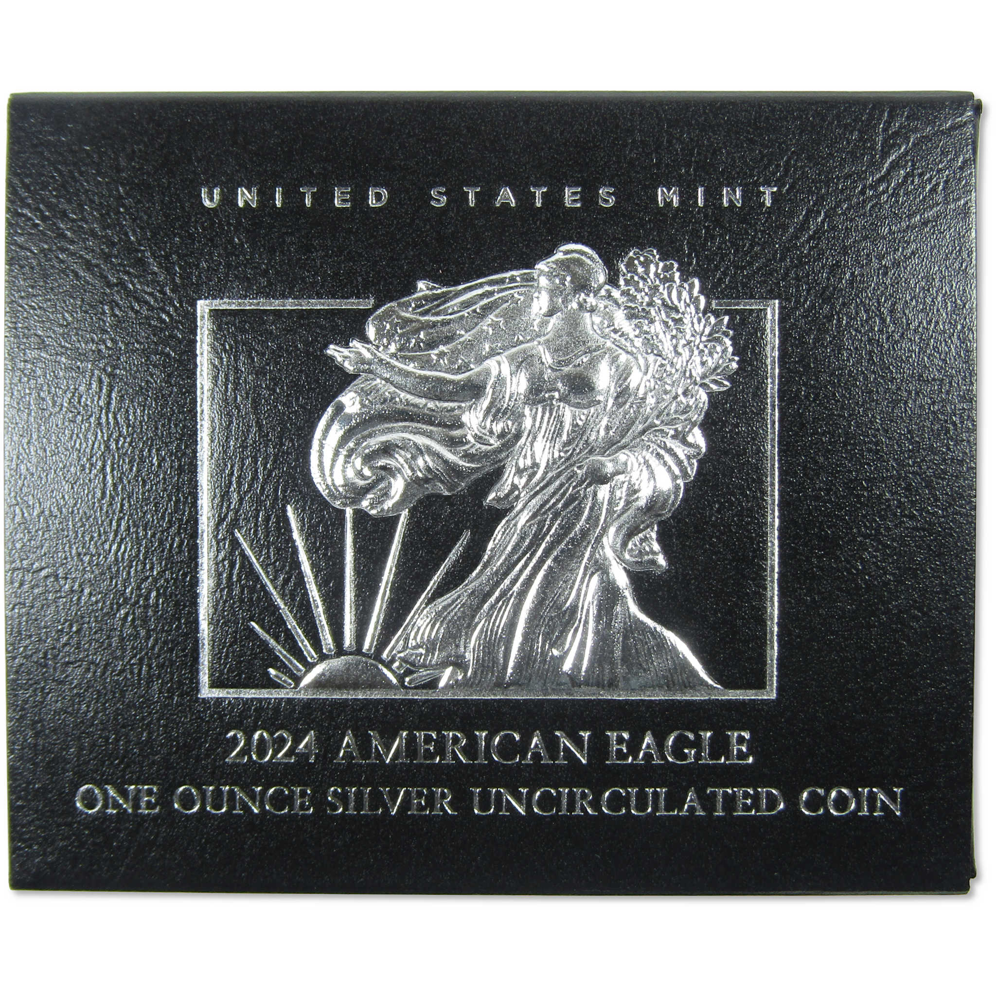 2024 W American Silver Eagle Uncirculated Bullion Burnished OGP COA