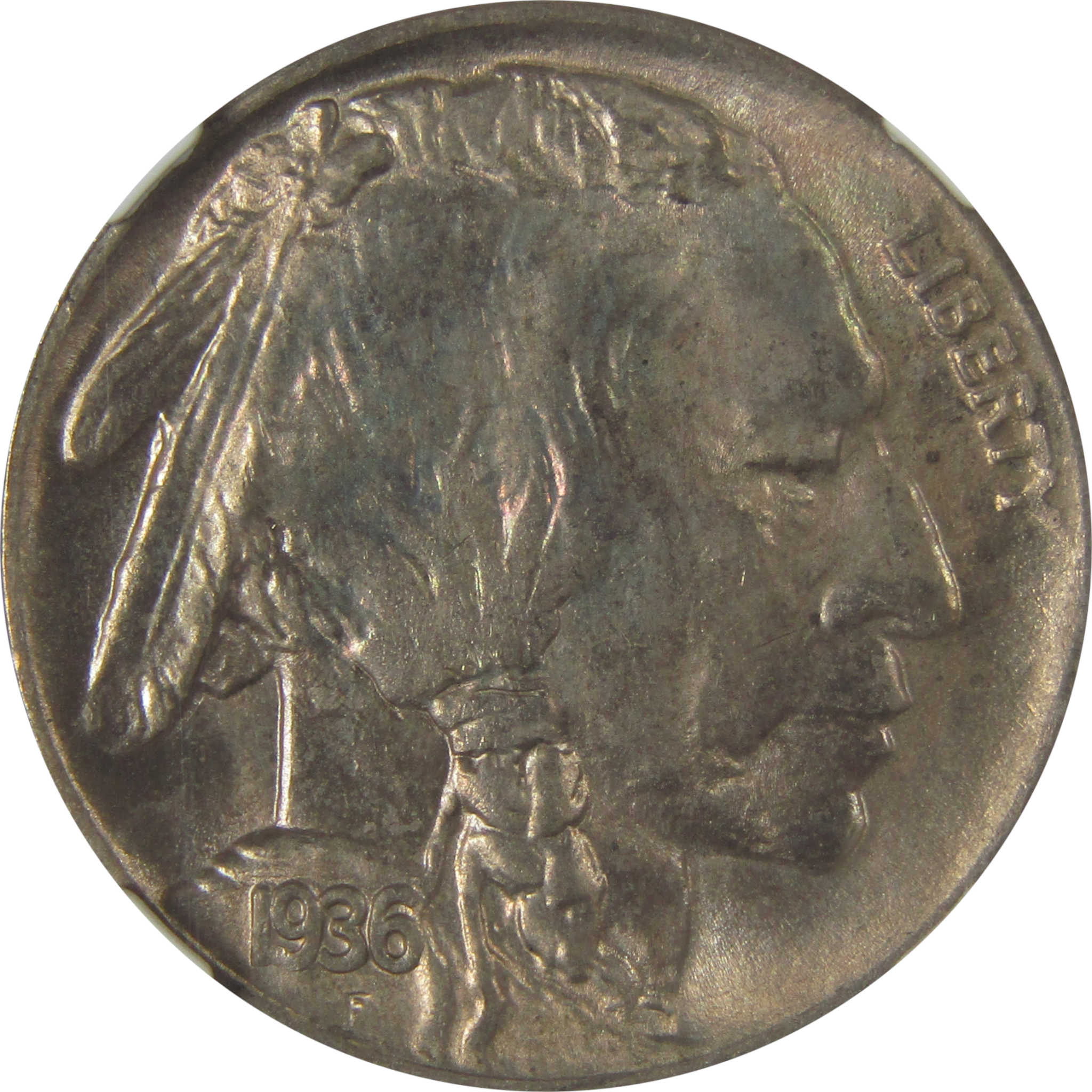 1936 D Indian Head Buffalo Nickel MS 65 NGC Bag Fragment SKU:I22654