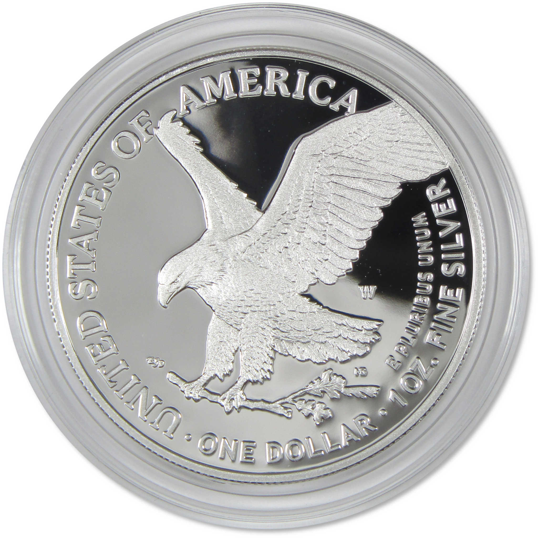 2025 W American Silver Eagle Choice Proof Bullion $1 Coin OGP COA