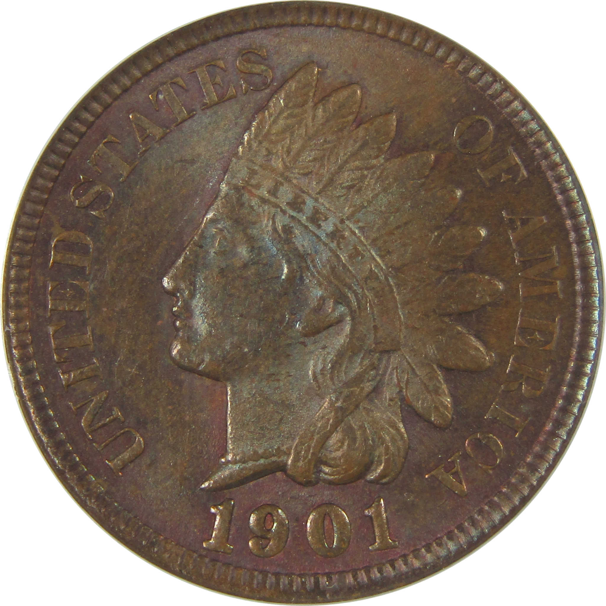 1901 Indian Head Cent MS 62 BN ANACS Penny Uncirculated SKU:I23008