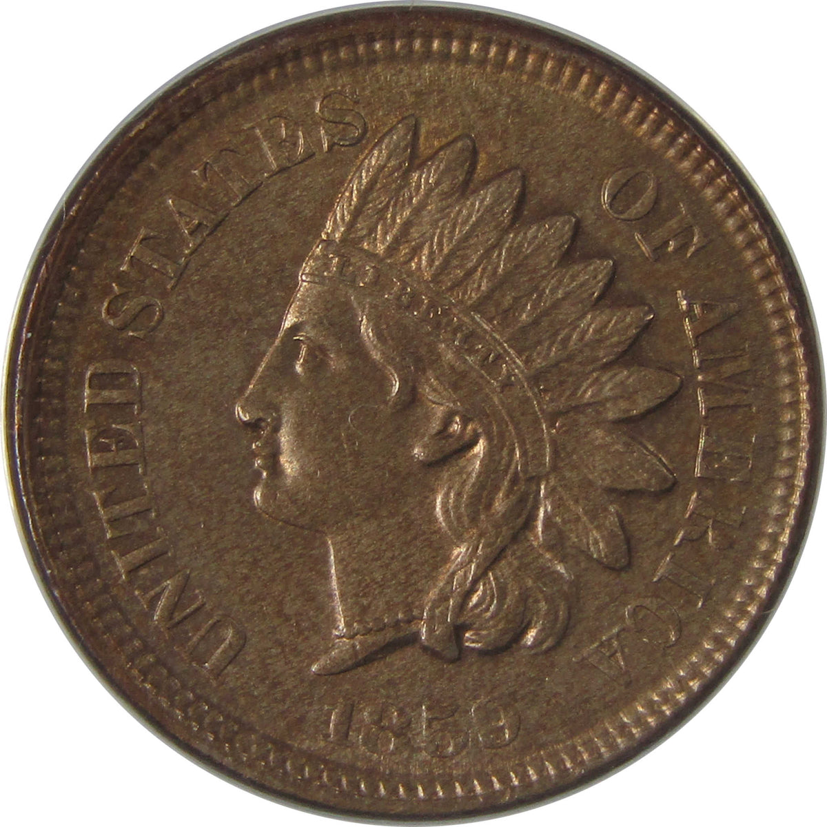 1859 Indian Head Cent MS 63 ANACS Penny Uncirculated SKU:I23637