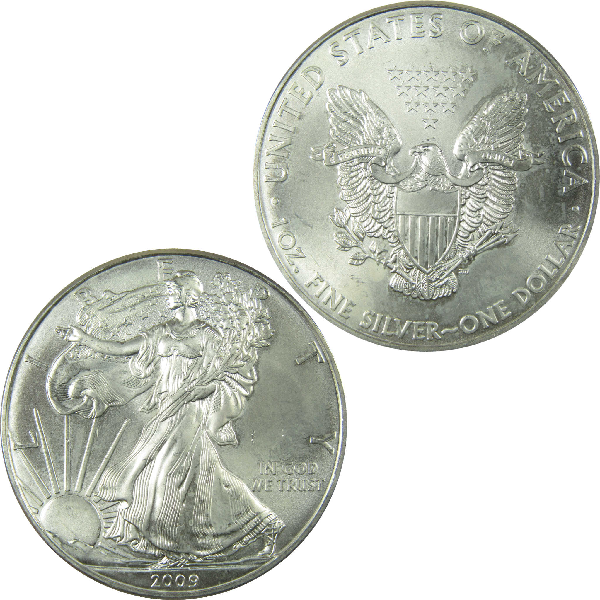 2009 American Silver Eagle Uncirculated Mint State $1 Coin SKU:CP1506