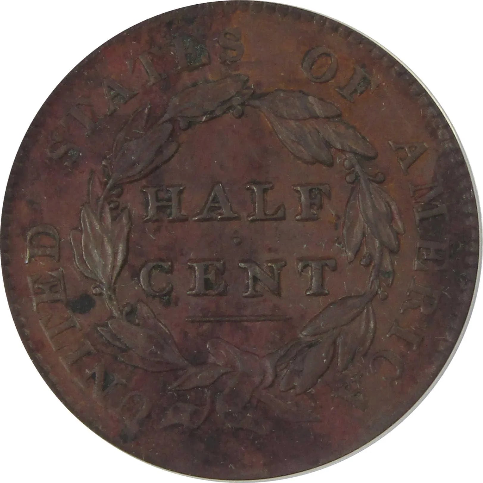 1828 13 Stars C-3 Classic Head Half Cent AU 55 Details ANACS SKU:CP180