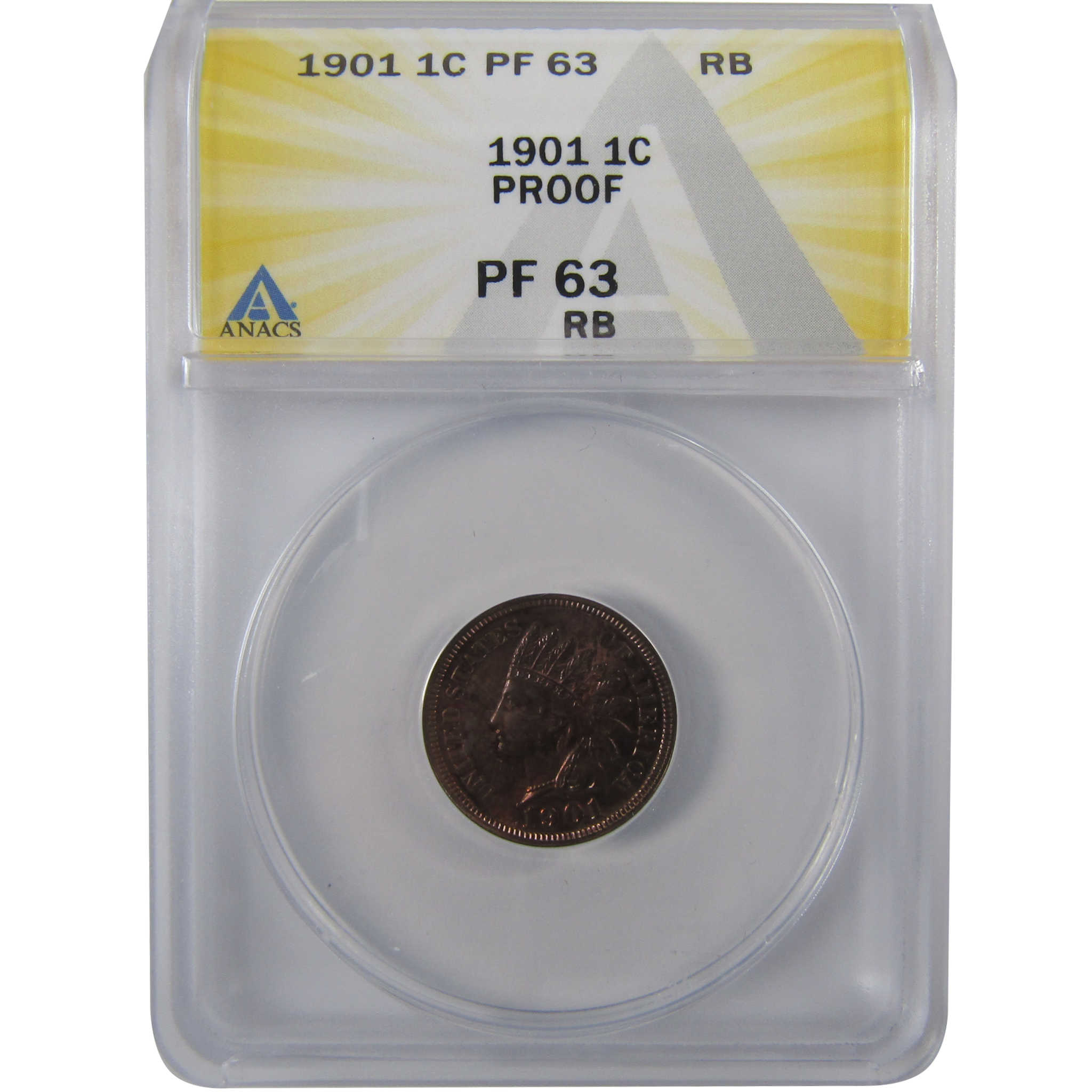 1901 Indian Head Cent PF 63 RB ANACS Penny Proof 1c Coin SKU:I25646