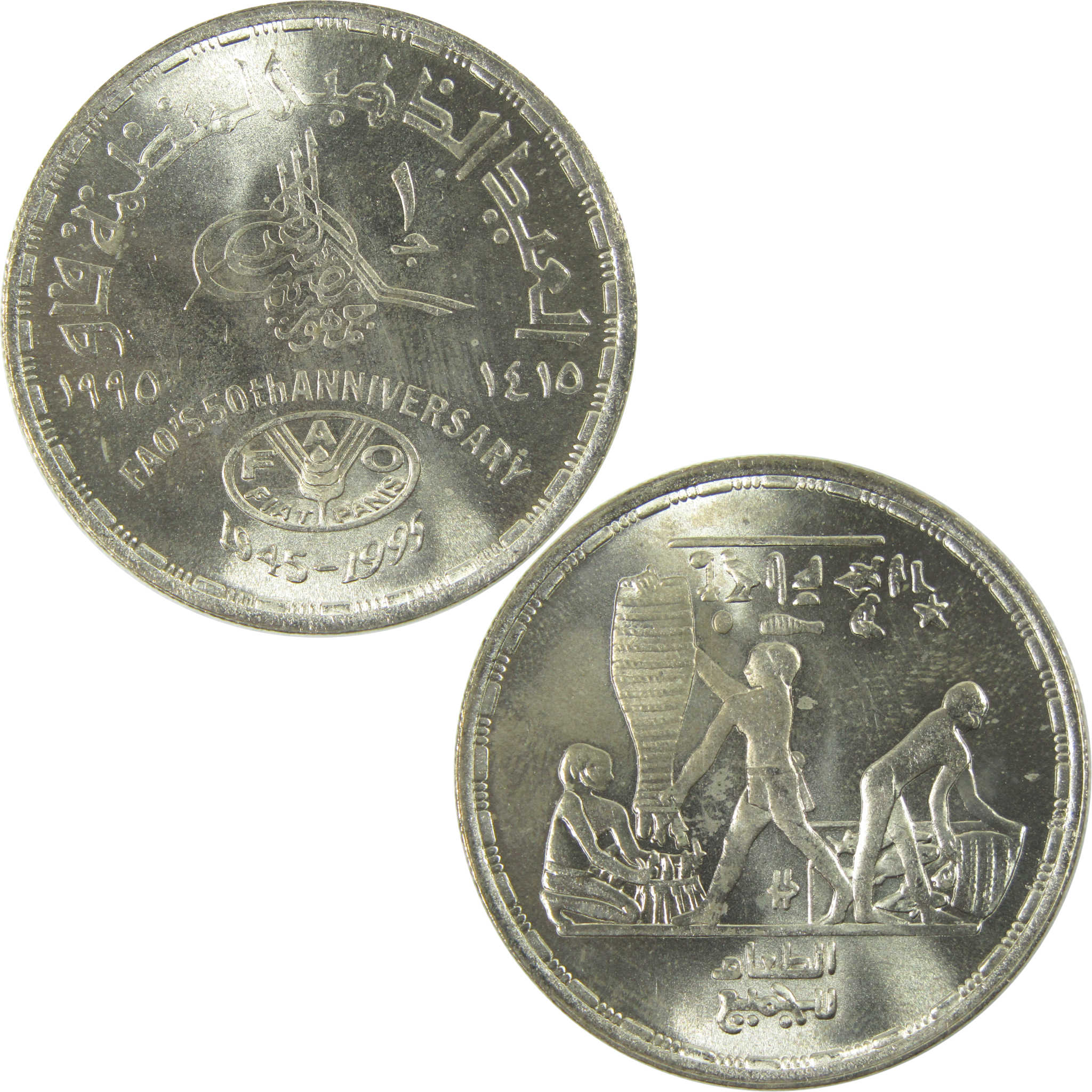 1995 Egypt FAO's 50th Anniversary 1 Pound Silver Coin Uncirculated