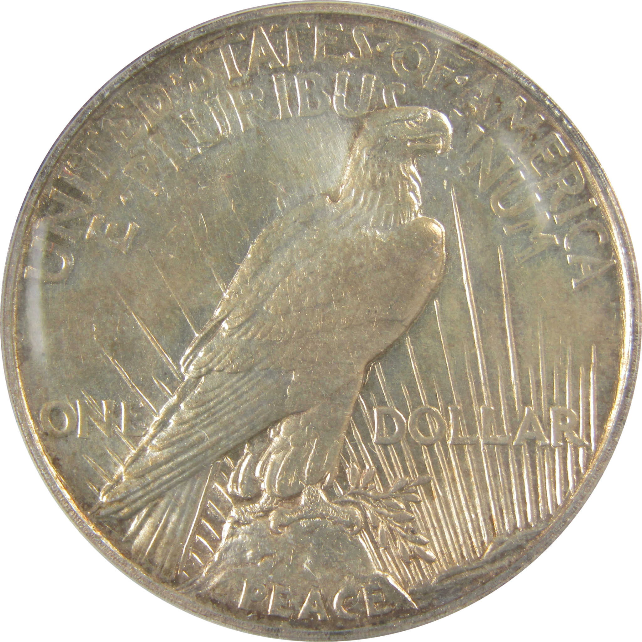 1921 High Relief Peace Dollar AU 58 Details ANACS Silver SKU:I21394