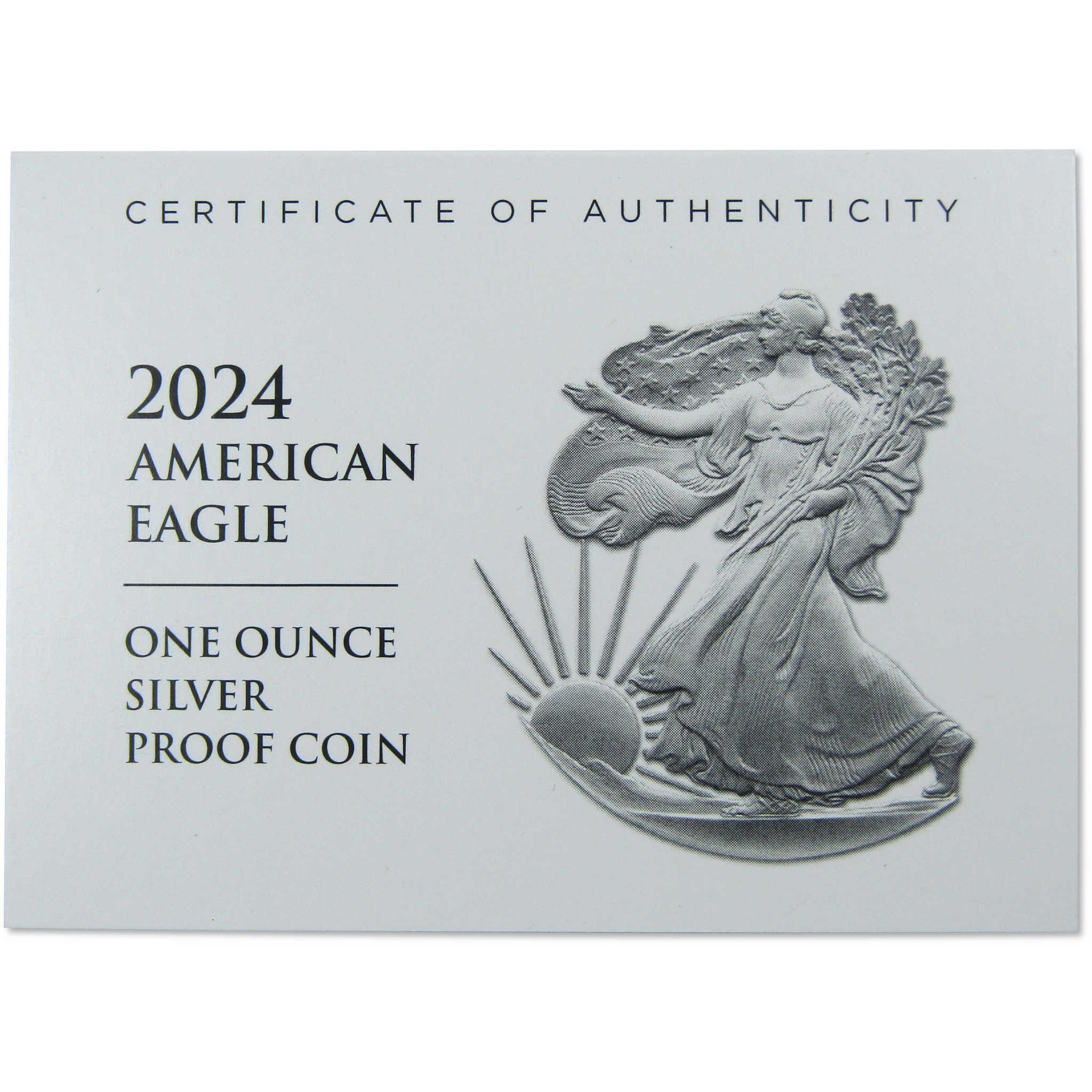 2024 W American Silver Eagle Choice Proof Bullion $1 Coin OGP COA