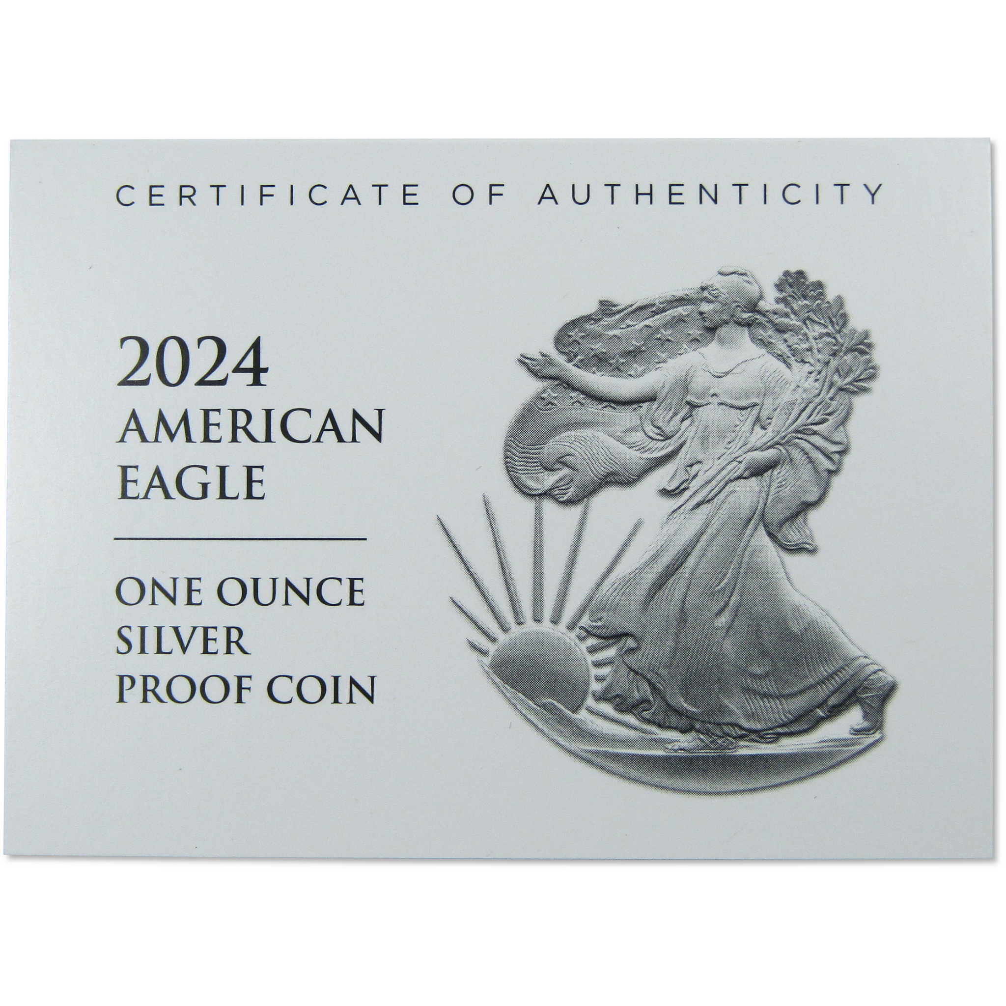 2024 W American Silver Eagle Proof $1 Coin Collectible OGP COA
