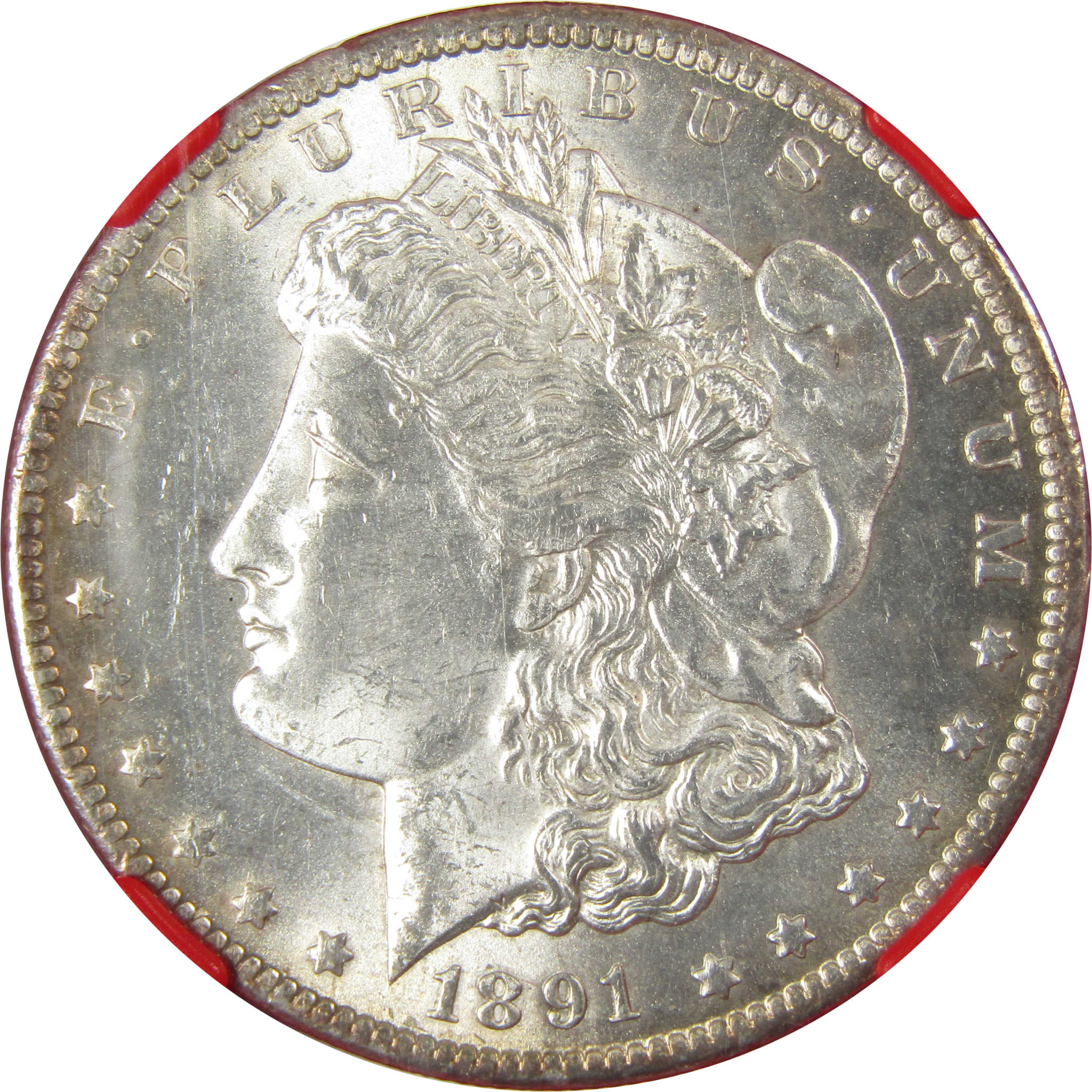 1891 CC VAM-3 Spitting Eagle Morgan Silver Dollar MS 62 NGC SKU:I26024 - Morgan coin - Morgan silver dollar - Morgan silver dollar for sale - Profile Coins & Collectibles
