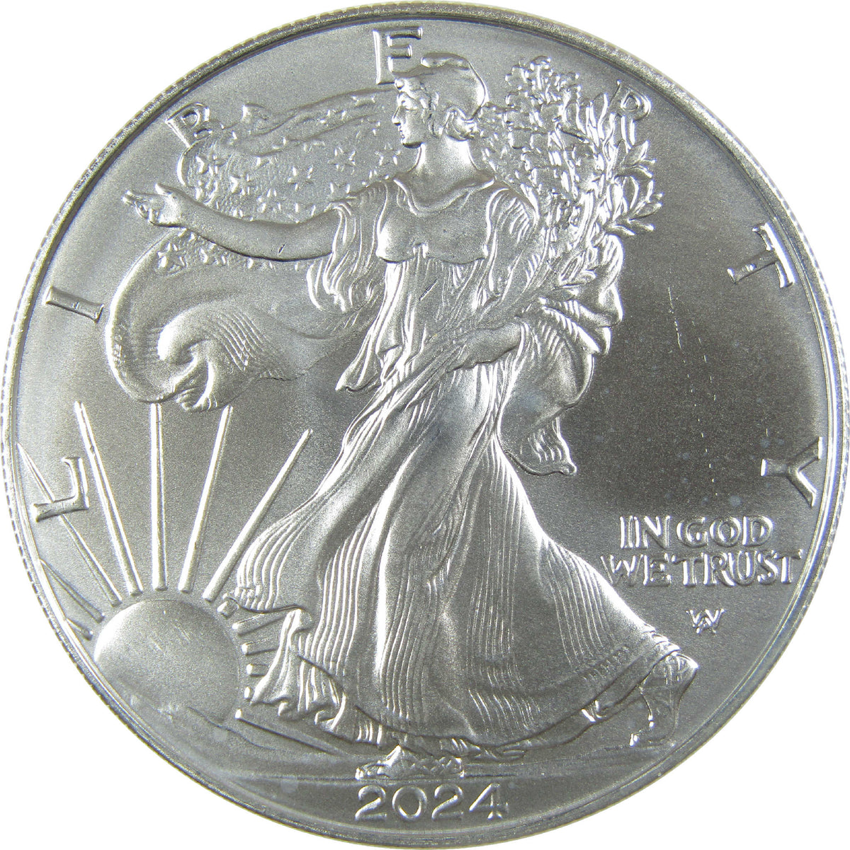 2024 American Silver Eagle Uncirculated Mint State $1 Coin Collectible