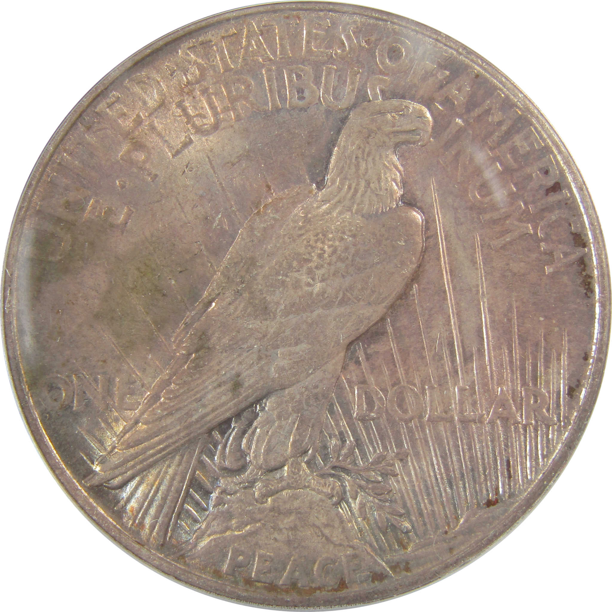 1921 High Relief Peace Dollar MS 60 Details ANACS Silver SKU:I21402