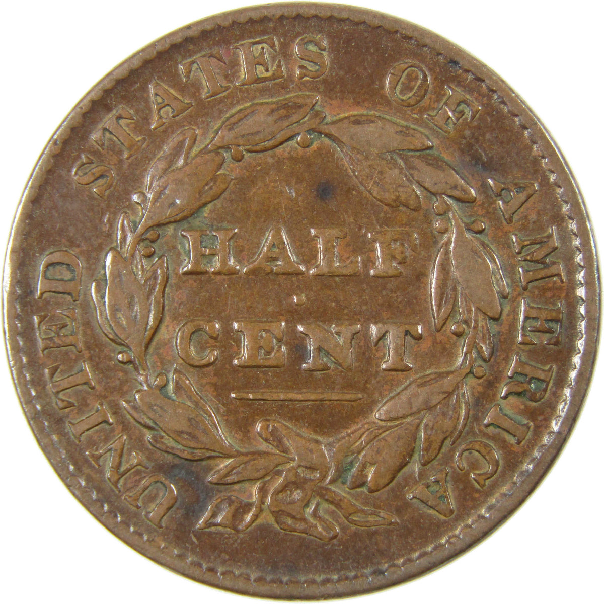 1828 13 Stars Classic Head Copper Half Cent VF Very Fine 1/2c Coin