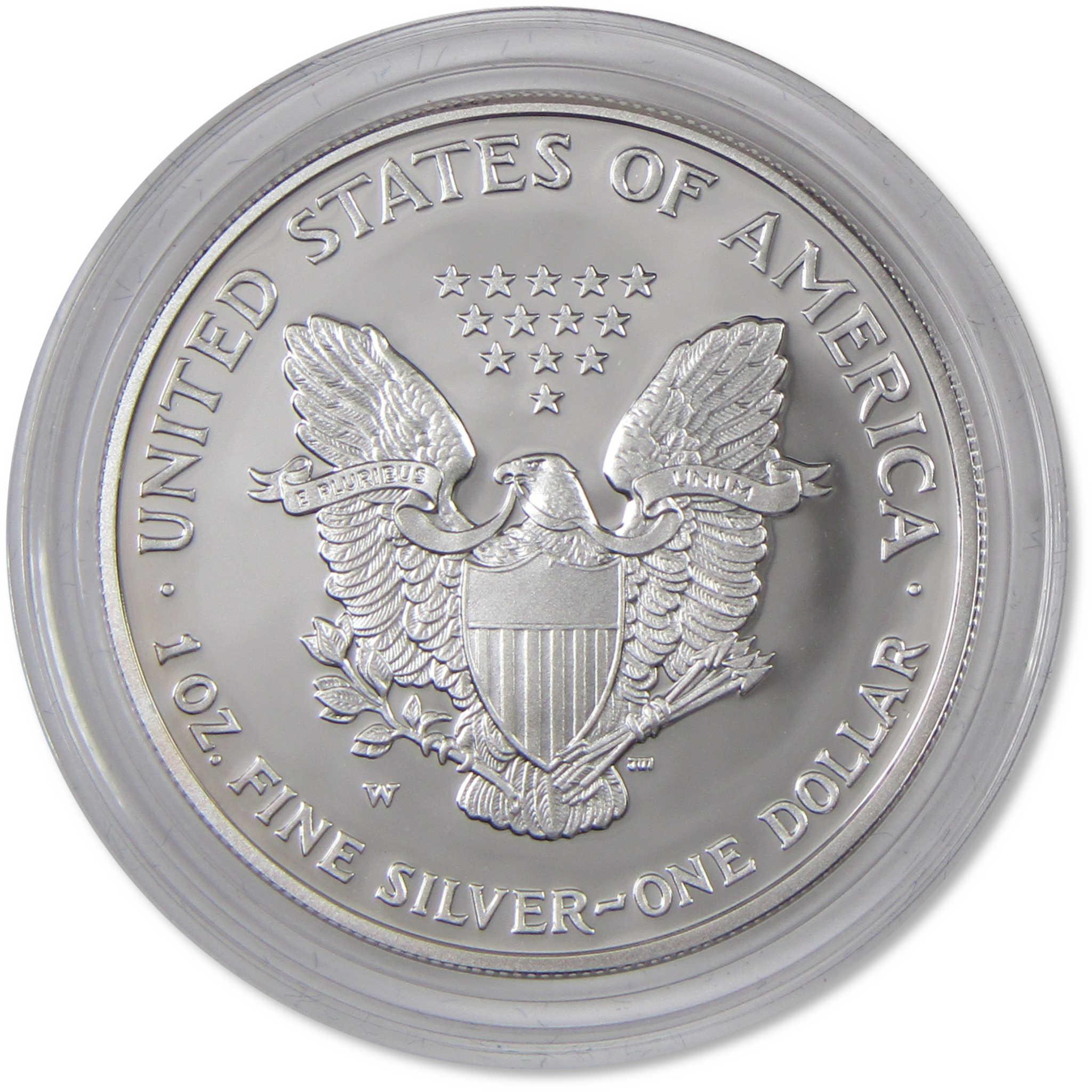 2007 W American Silver Eagle Choice Proof Bullion $1 Coin OGP COA