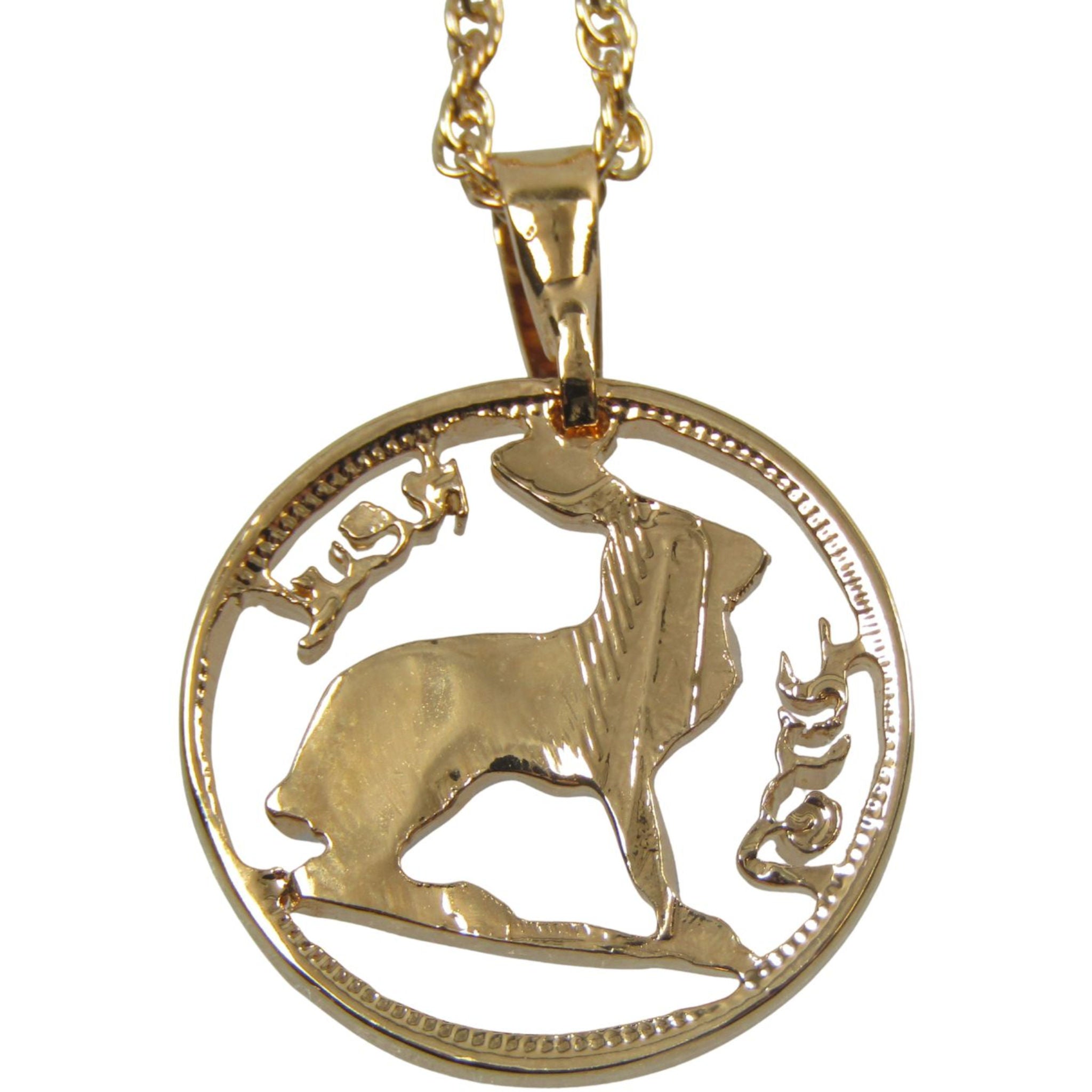 Irish Rabbit Cut Coin Necklace with Chain and Gift Box