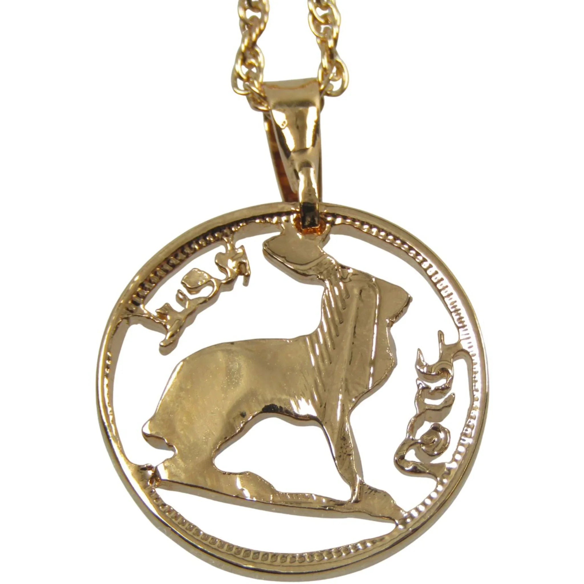Irish Rabbit Cut Coin Necklace with Chain and Gift Box