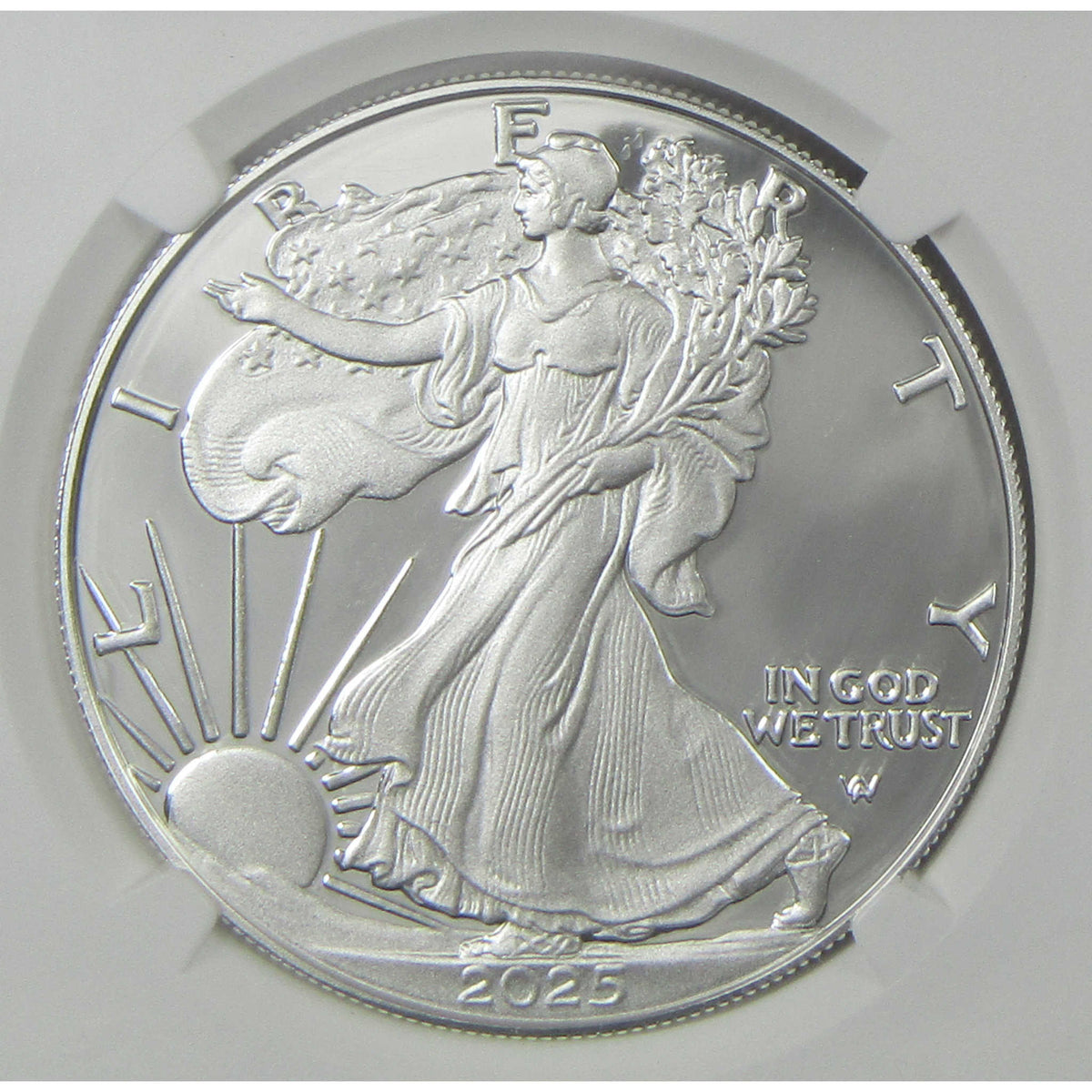 2025 W American Silver Eagle PF 70 UCAM NGC Proof $1 Coin First Day