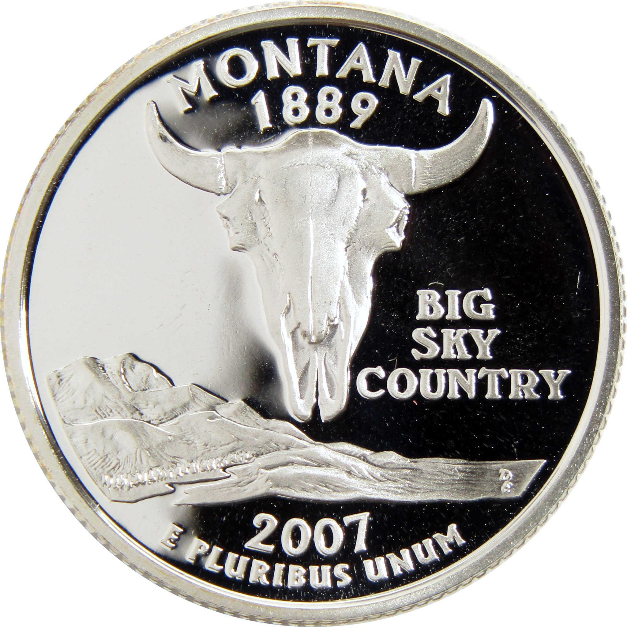 Montana state quarter 2007 featuring bison skull, mountains, and 'Big Sky Country' text.
