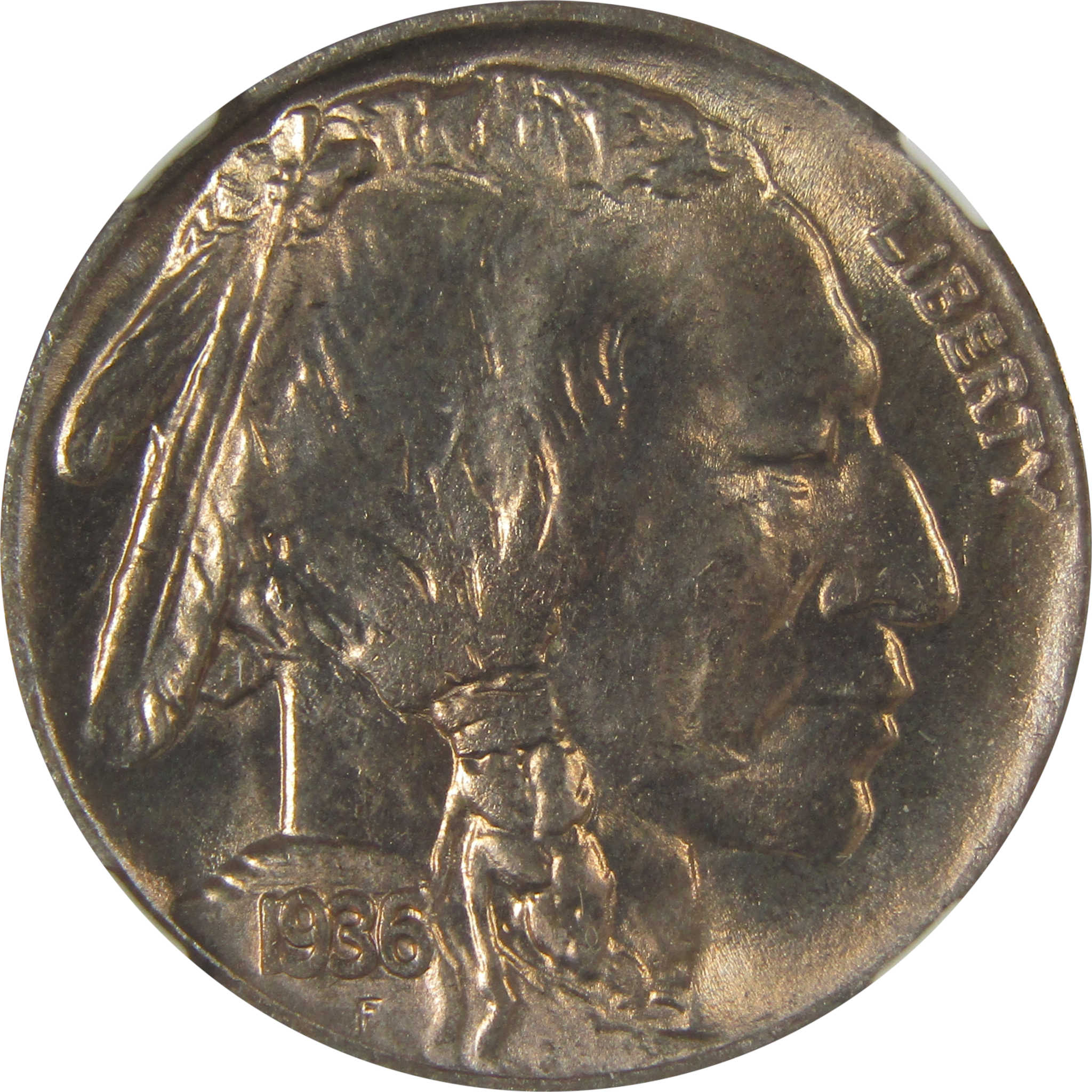 1936 D Indian Head Buffalo Nickel MS 66 NGC Bag Fragment SKU:I22660