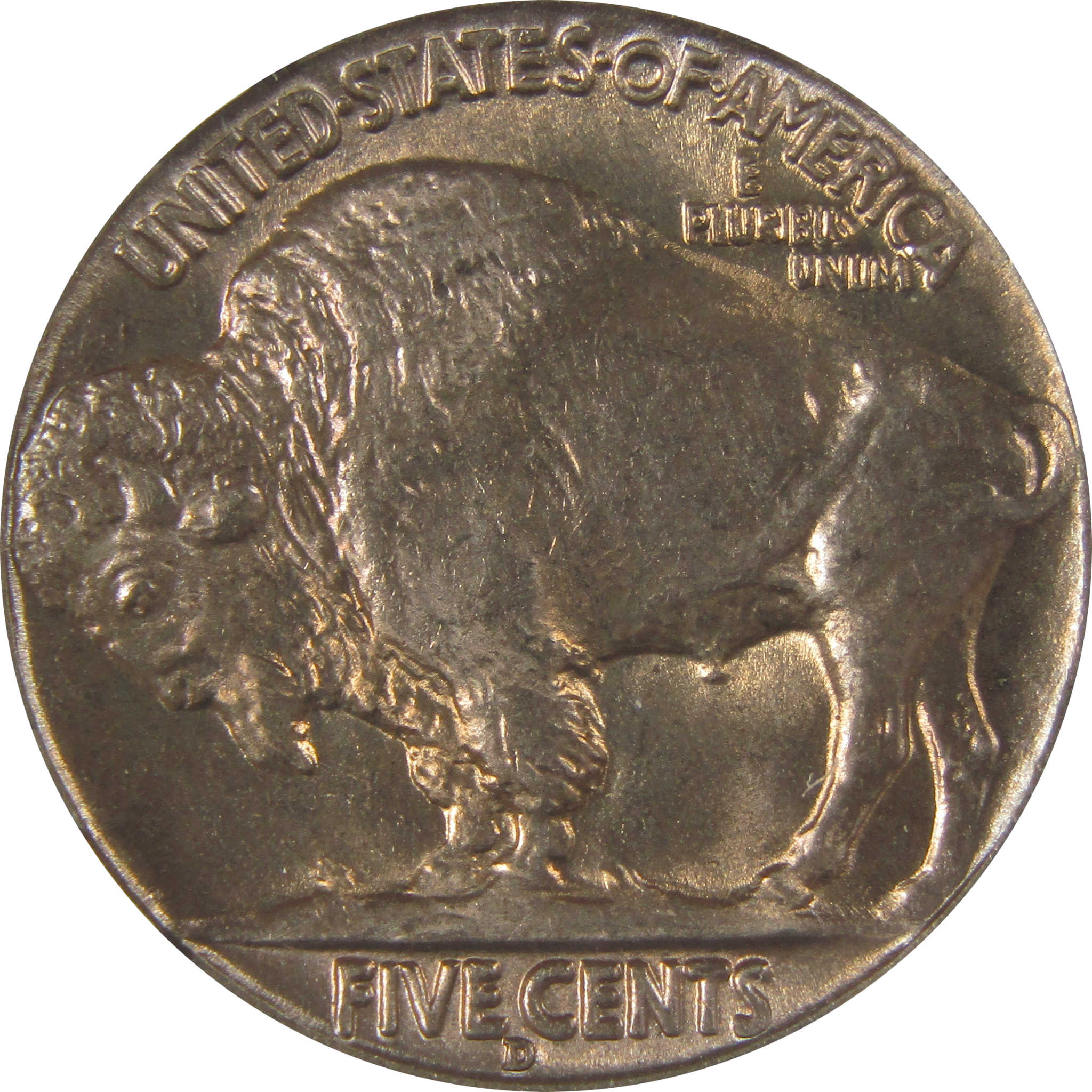 1936 D Indian Head Buffalo Nickel MS 66 NGC Bag Fragment SKU:I22661