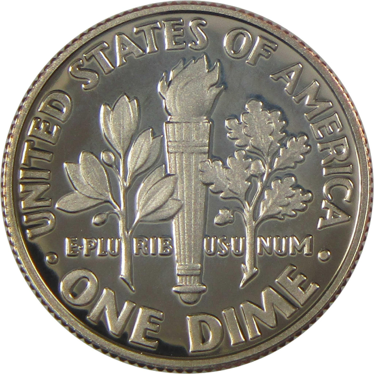 2024 S Roosevelt Dime Clad Proof 10c Coin Collectible