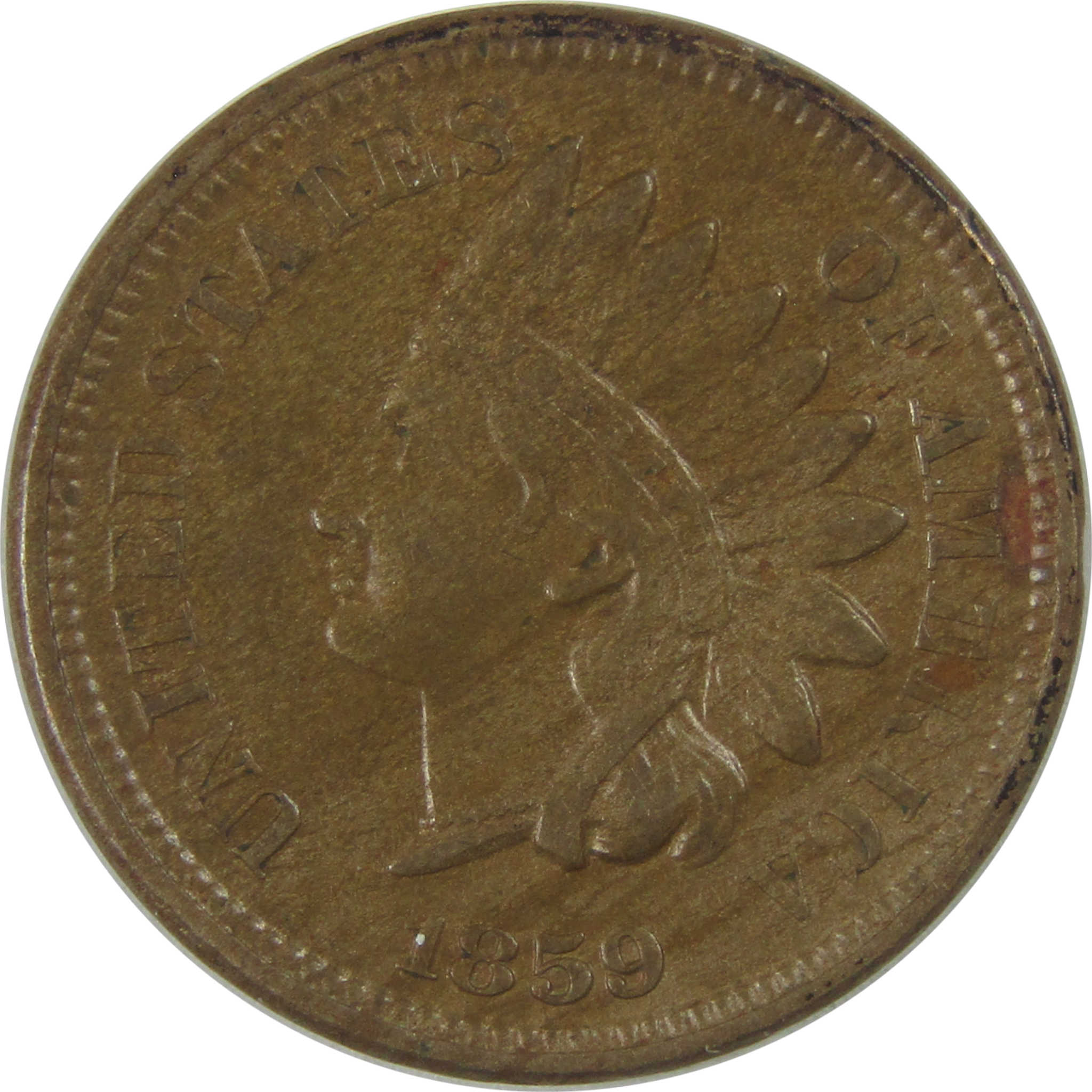 1859 Indian Head Cent XF EF Extremely Fine Details Penny SKU:I19141