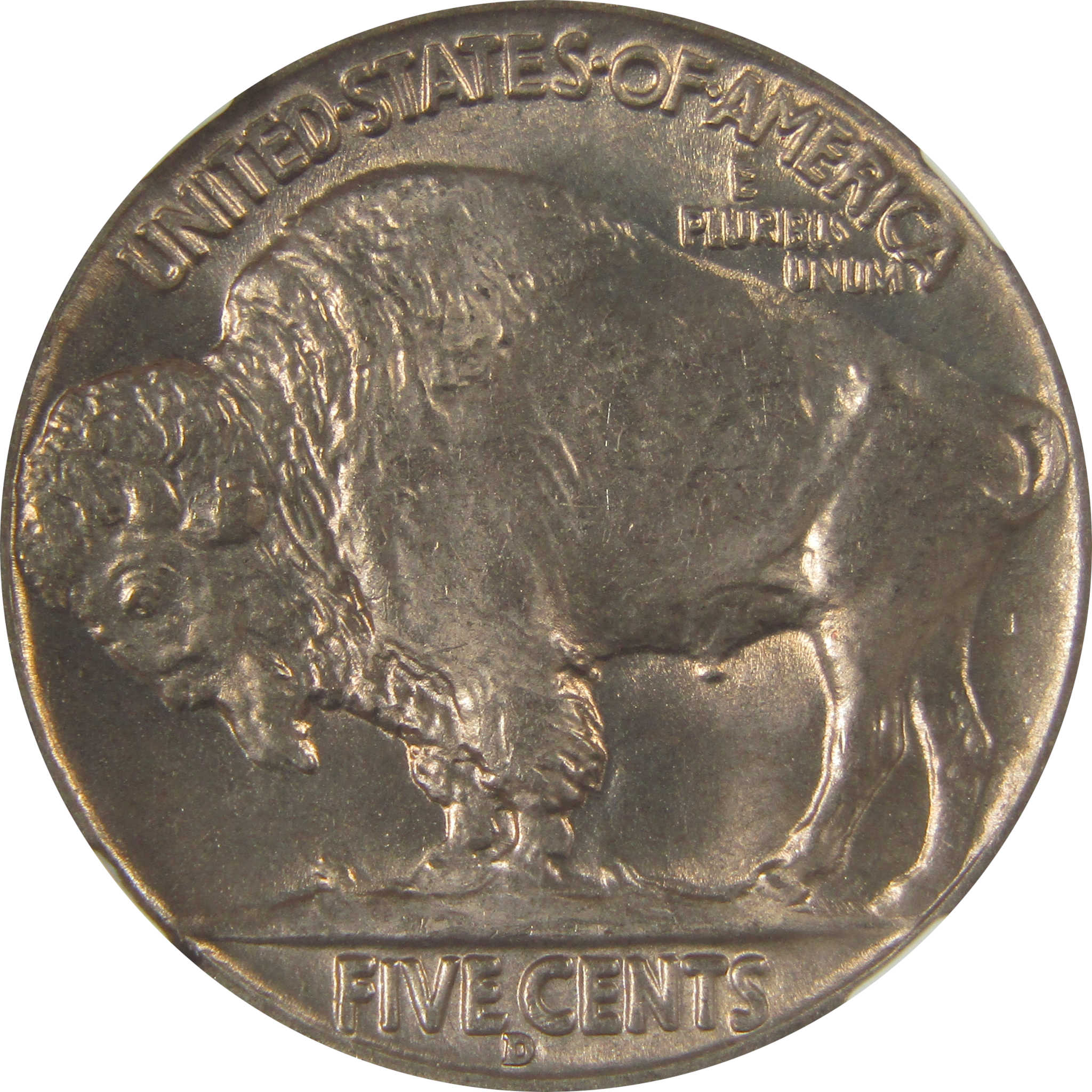 1936 D Indian Head Buffalo Nickel MS 66 NGC Bag Fragment SKU:I22664