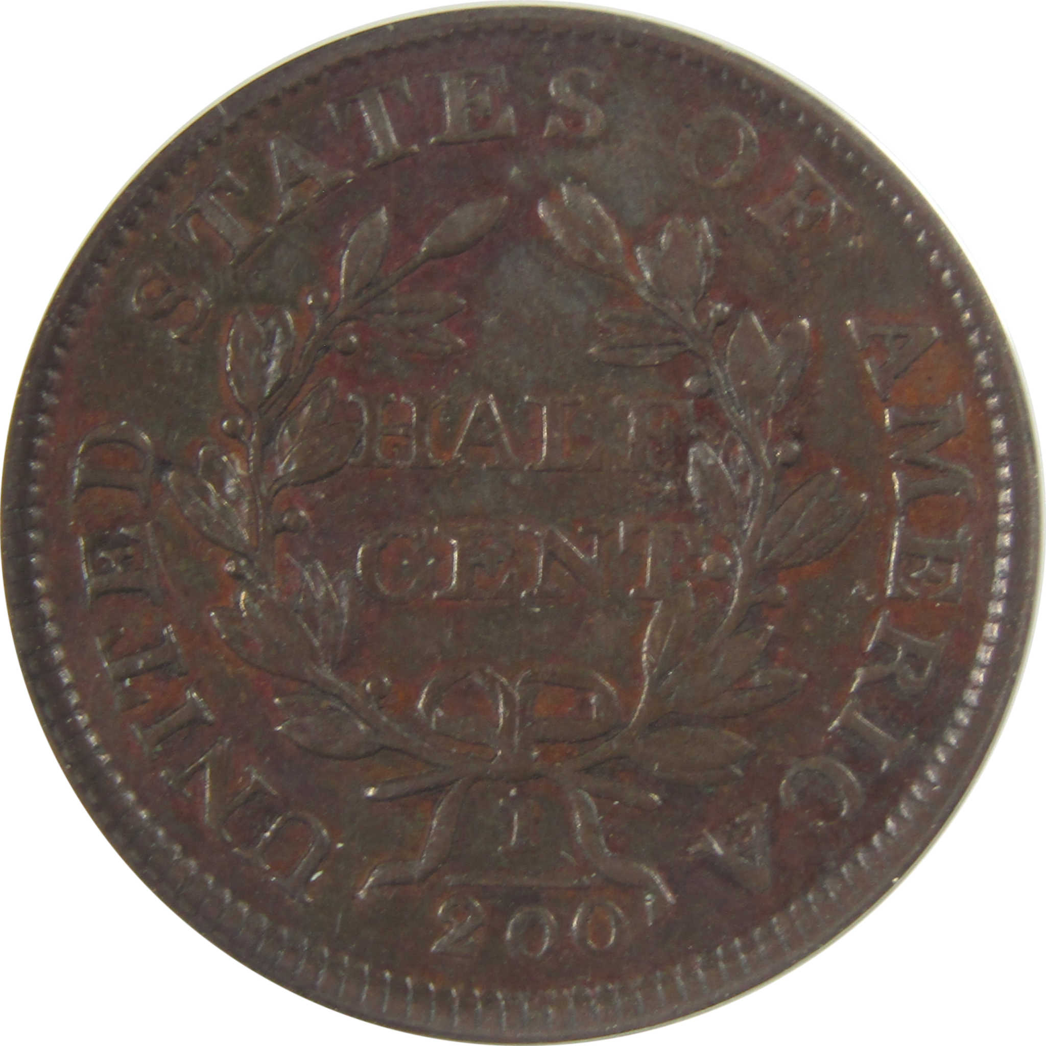 1805 Lg 5 Stems Draped Bust Half Cent VF 35 Details ANACS SKU:CPC0830