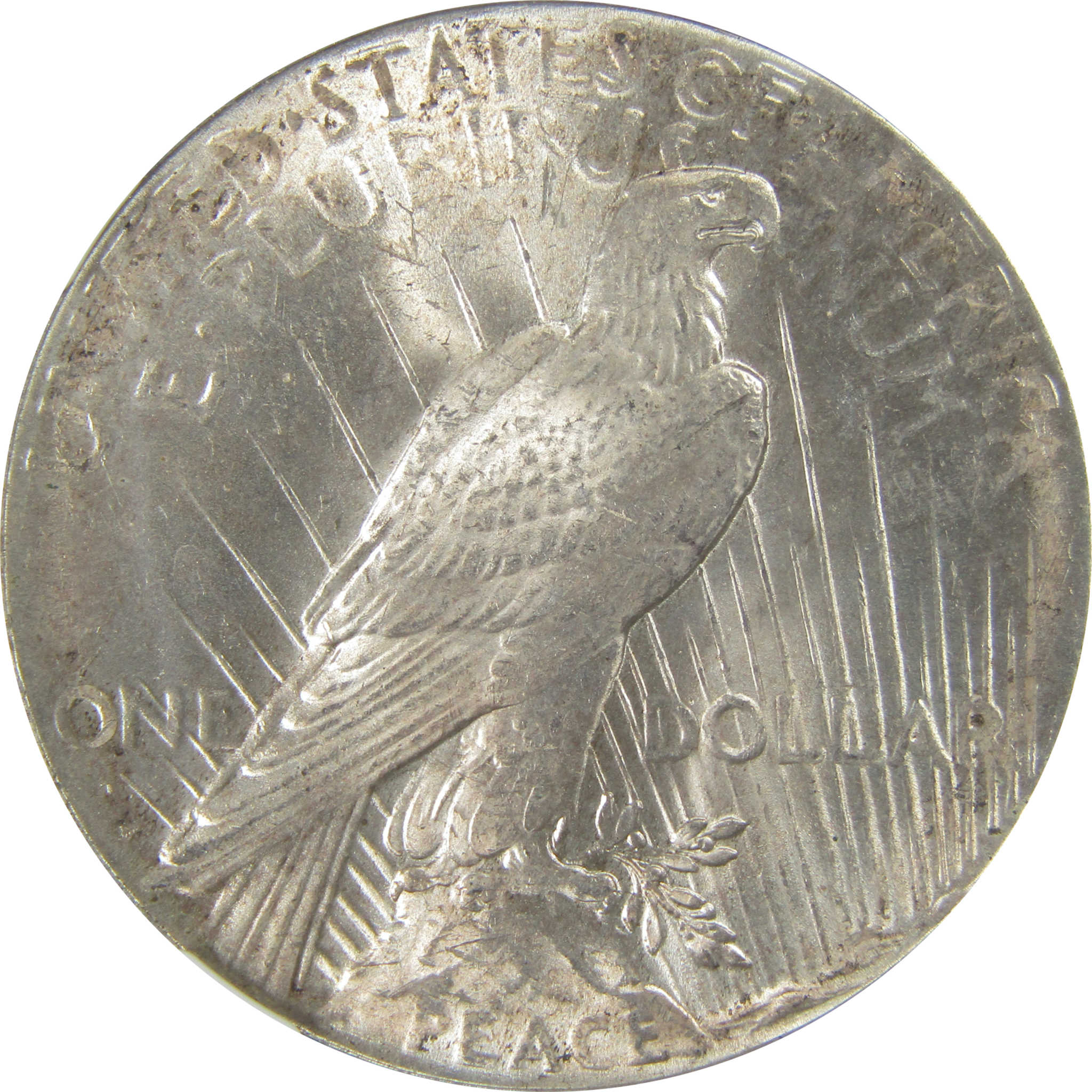 1926 D Peace Dollar MS 61 NGC Silver Uncirculated $1 Coin SKU:I23596