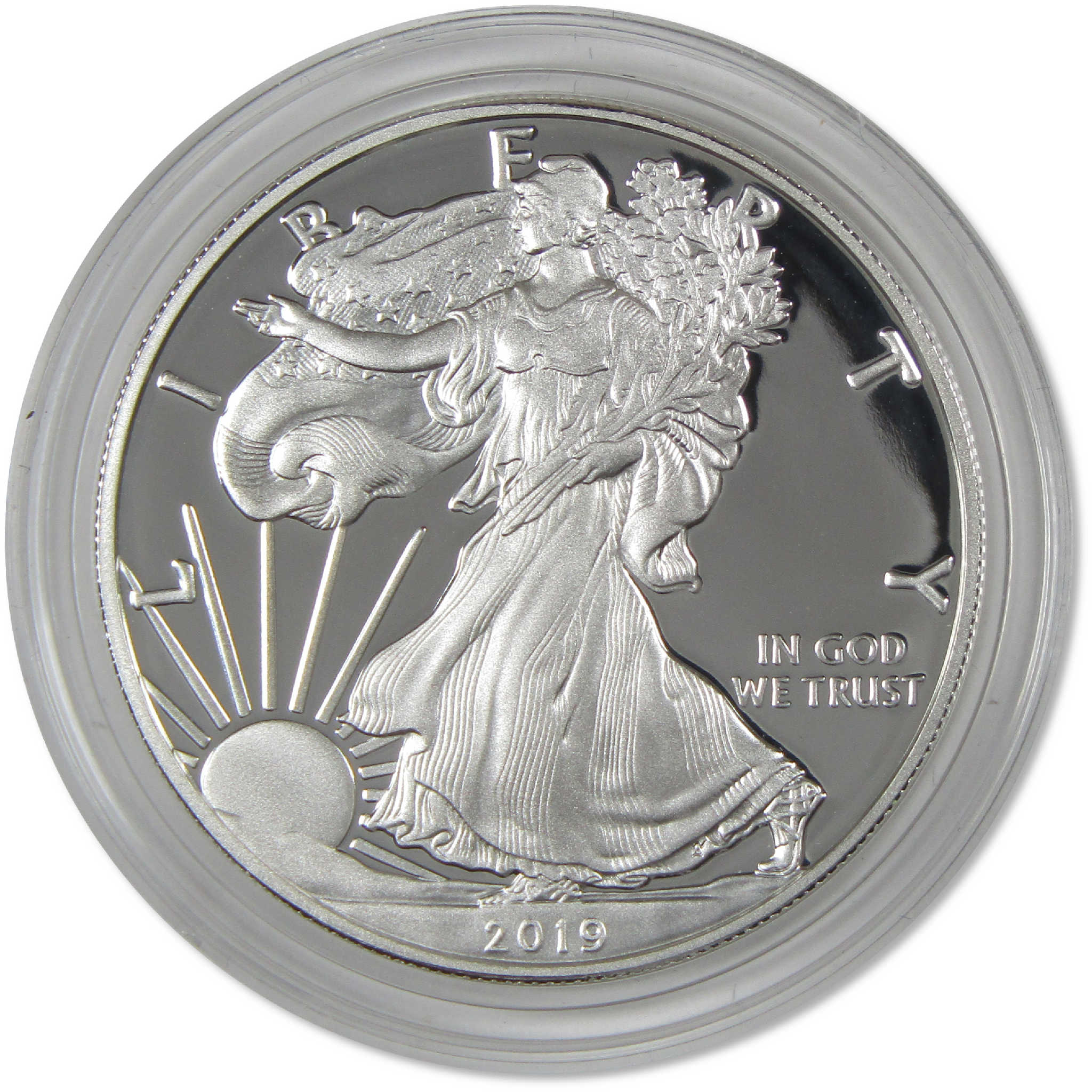 2019 W American Silver Eagle Bullion Proof $1 Coin Collectible OGP COA