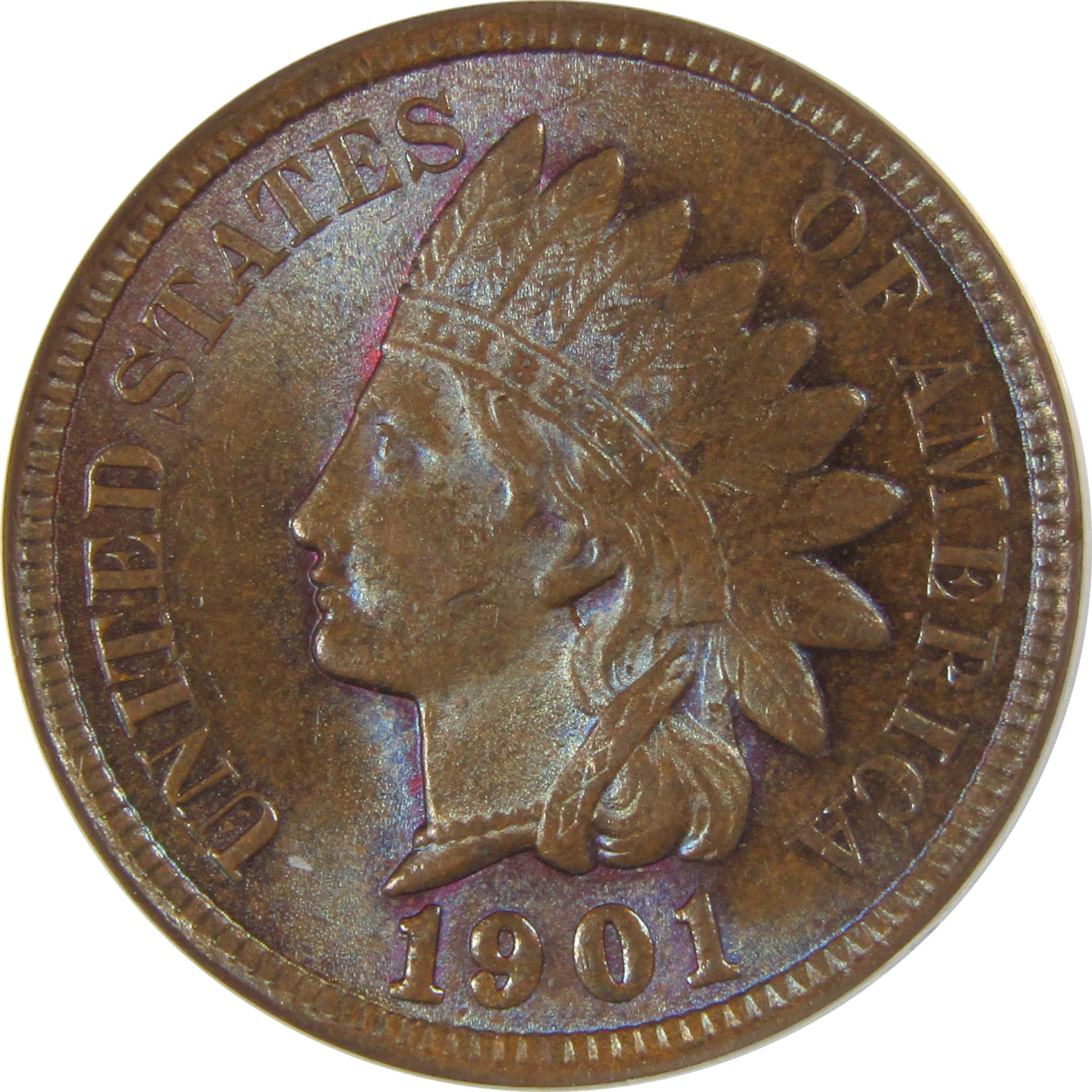 1901 Indian Head Cent MS 63 BN ANACS Penny Uncirculated SKU:I23009