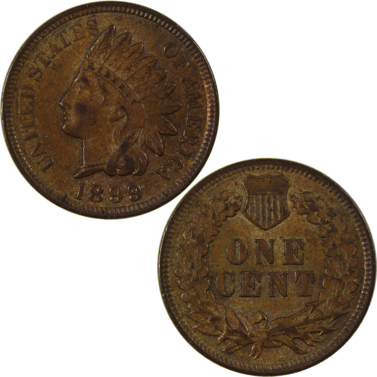 1899 Indian Head Cent Borderline Uncirculated Penny 1c Coin