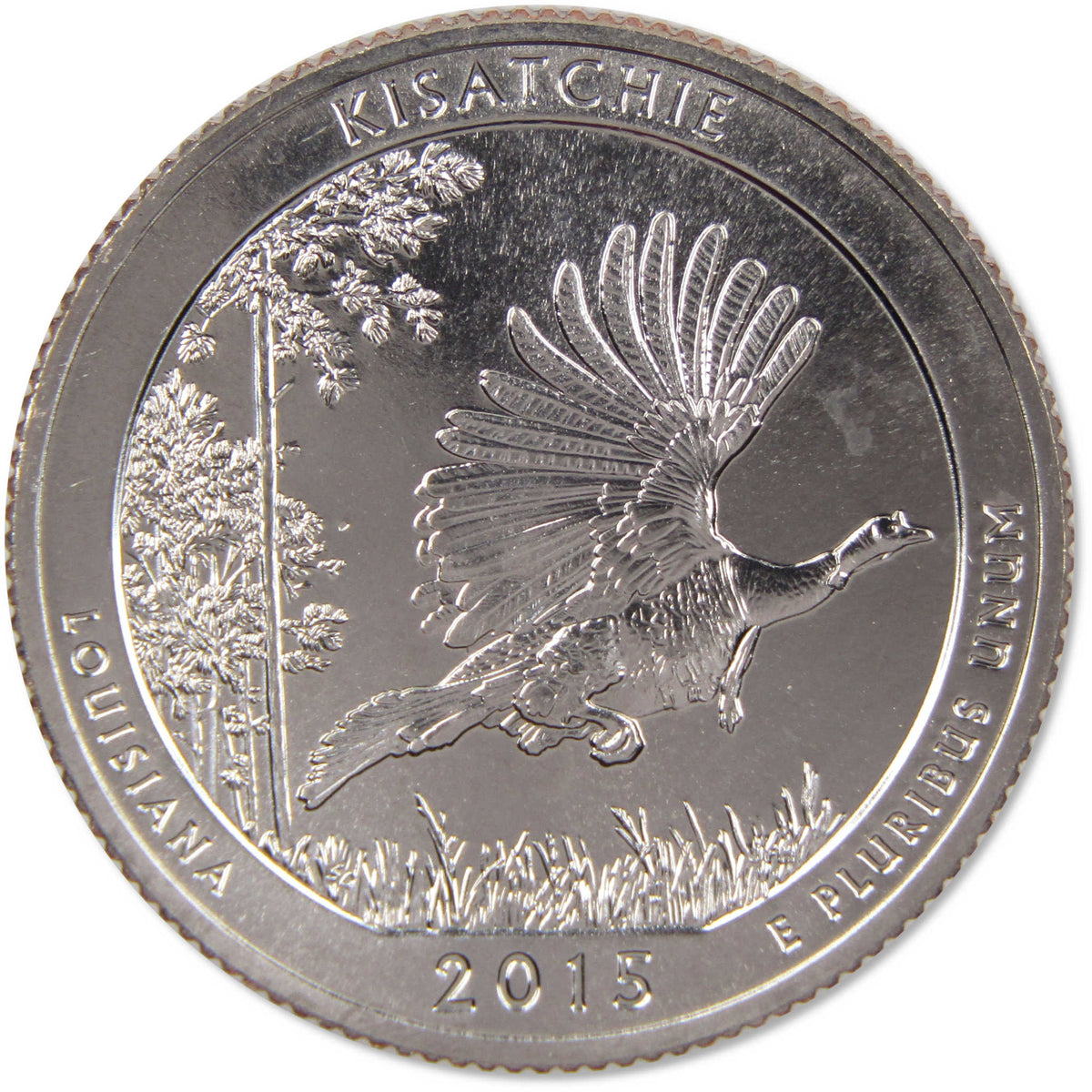 2015 S Quarter 5 Coin Set Clad Uncirculated Mint State 25c Collectible