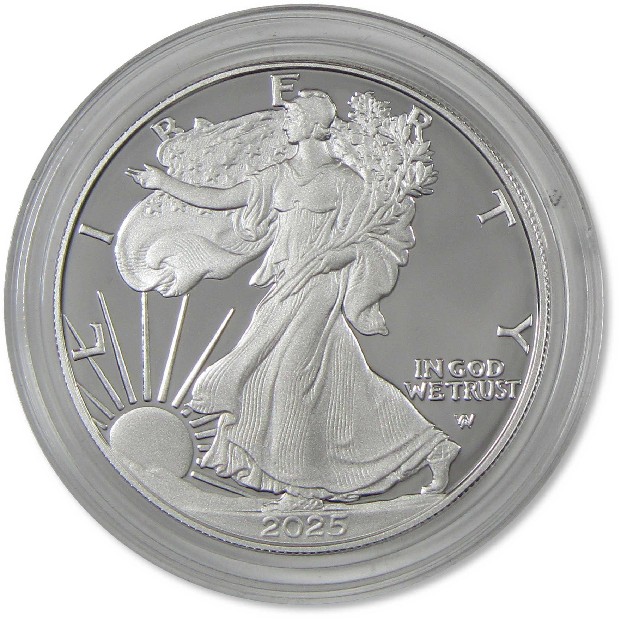2025 S American Silver Eagle Bullion Proof $1 Coin Collectible OGP COA