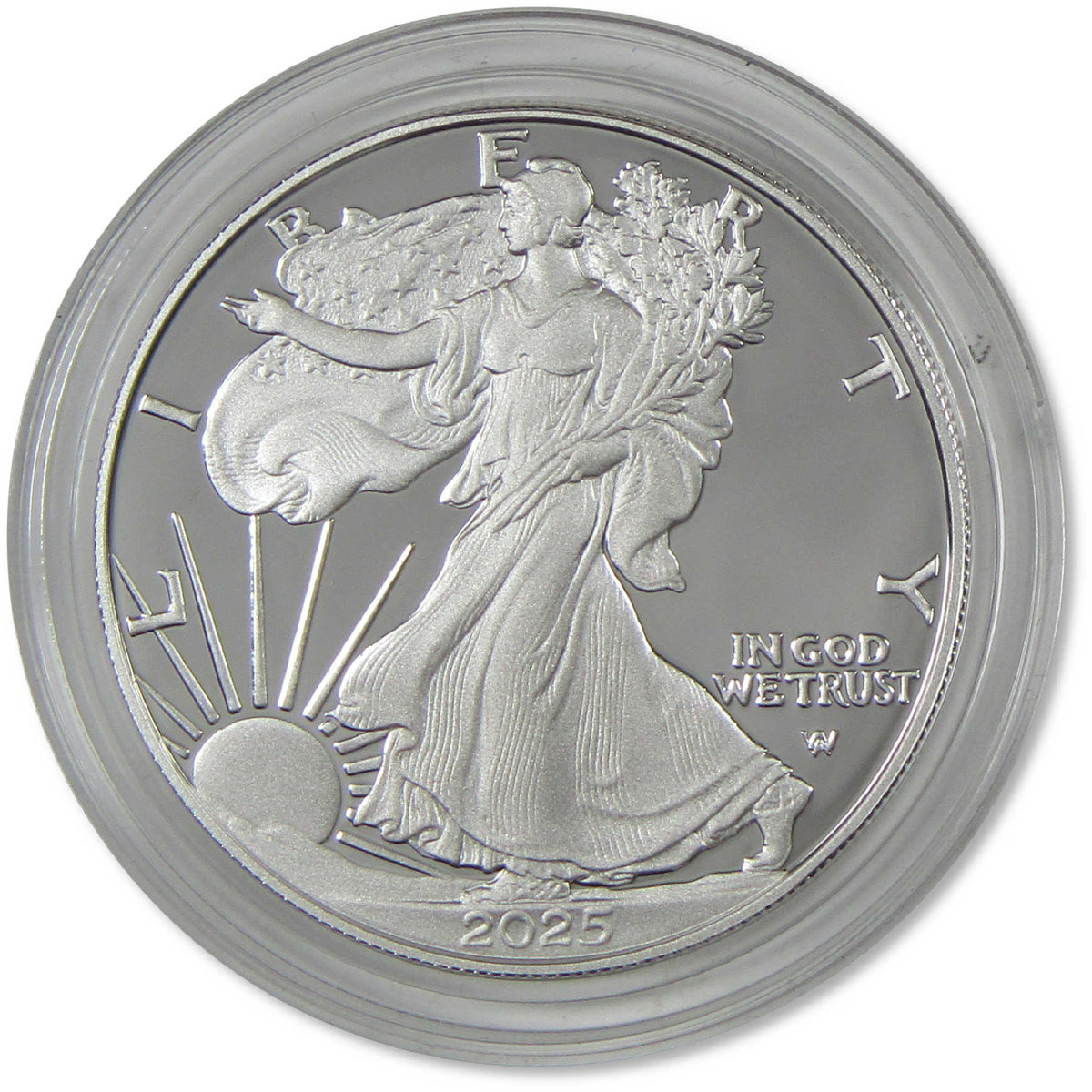 2025 S American Silver Eagle Proof $1 Coin Collectible OGP COA