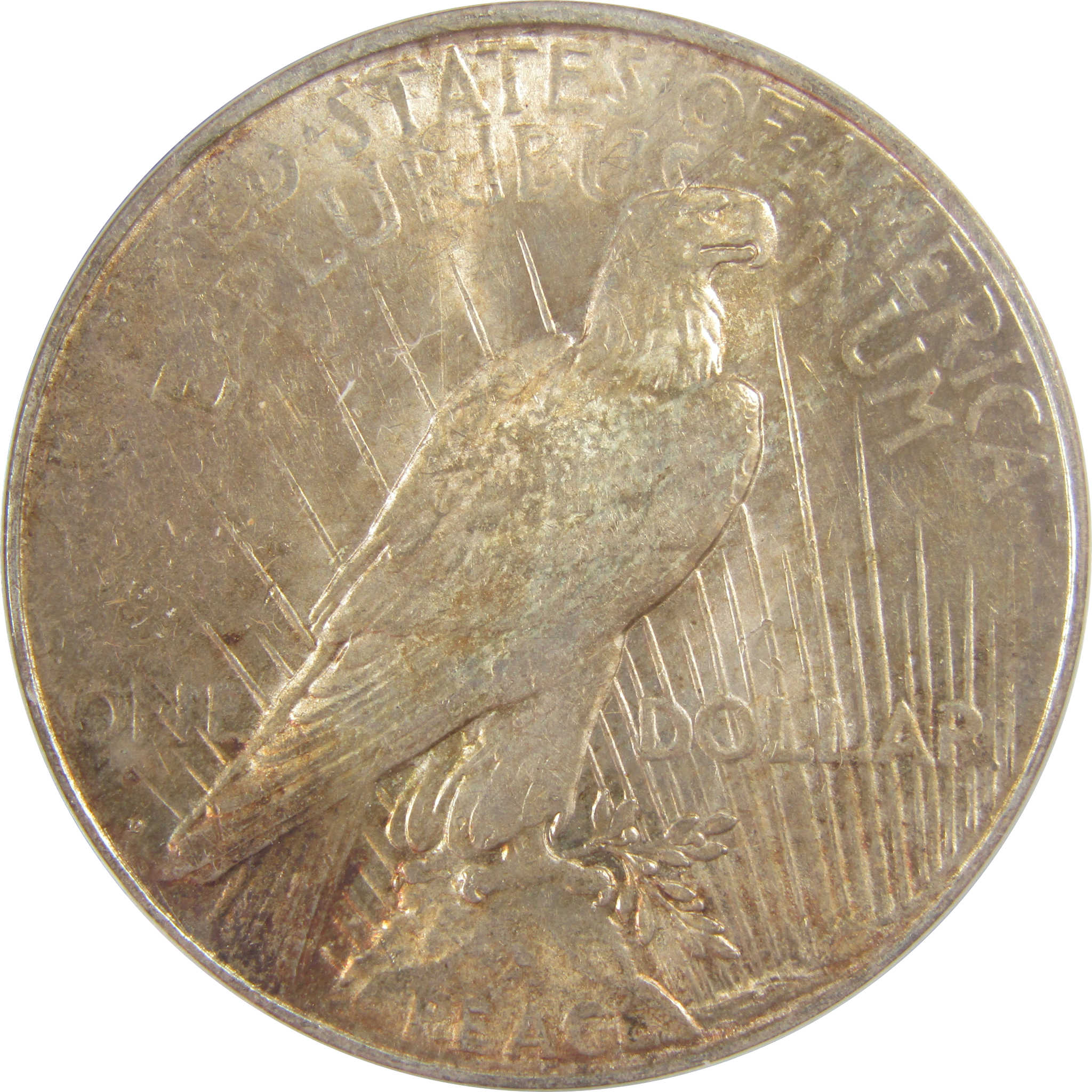 1923 D Peace Dollar MS 61 ANACS Silver Uncirculated $1 Coin SKU:I20917