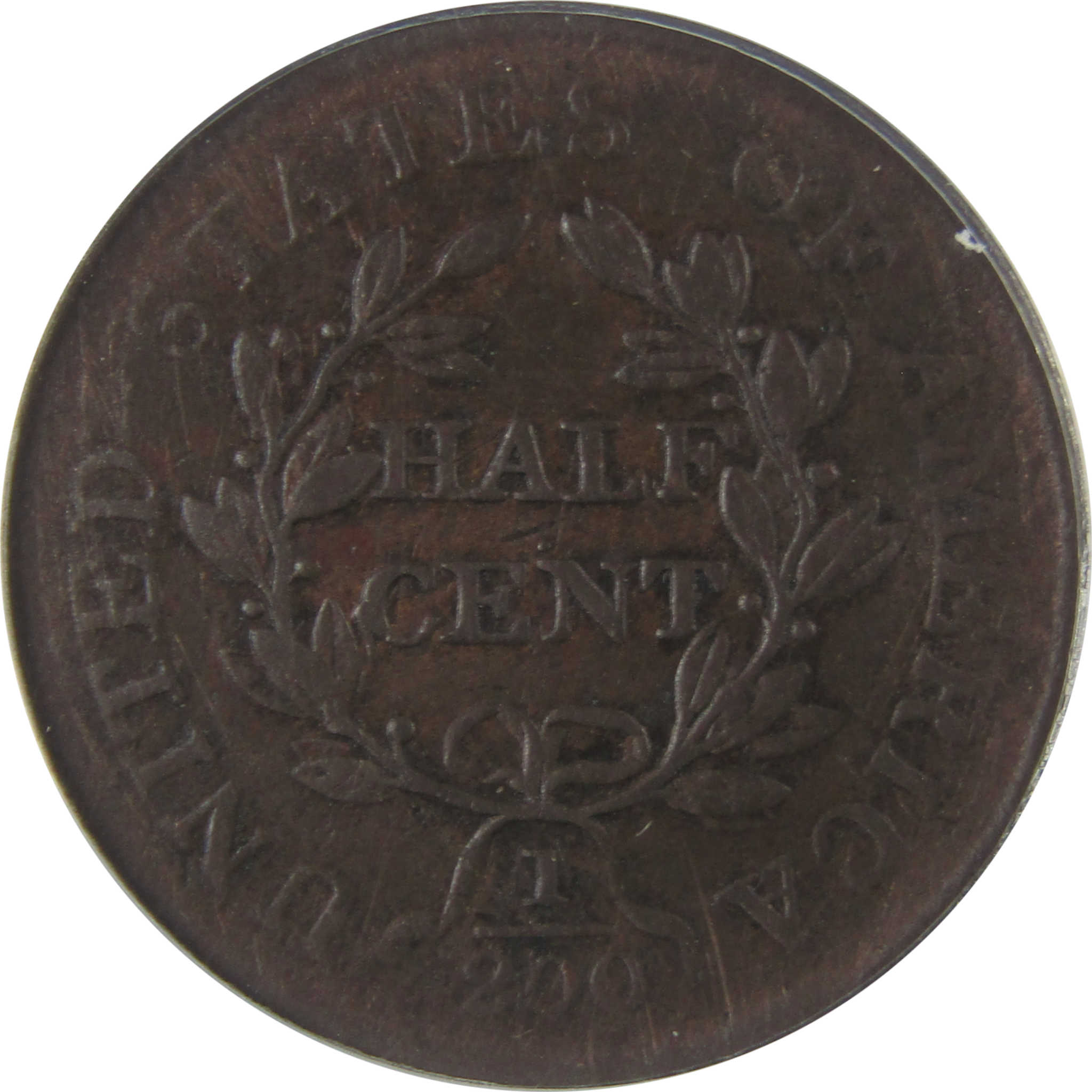 1806 Small 6 No Stems Draped Bust 1/2C F 12 Details ANACS SKU:CPC1128