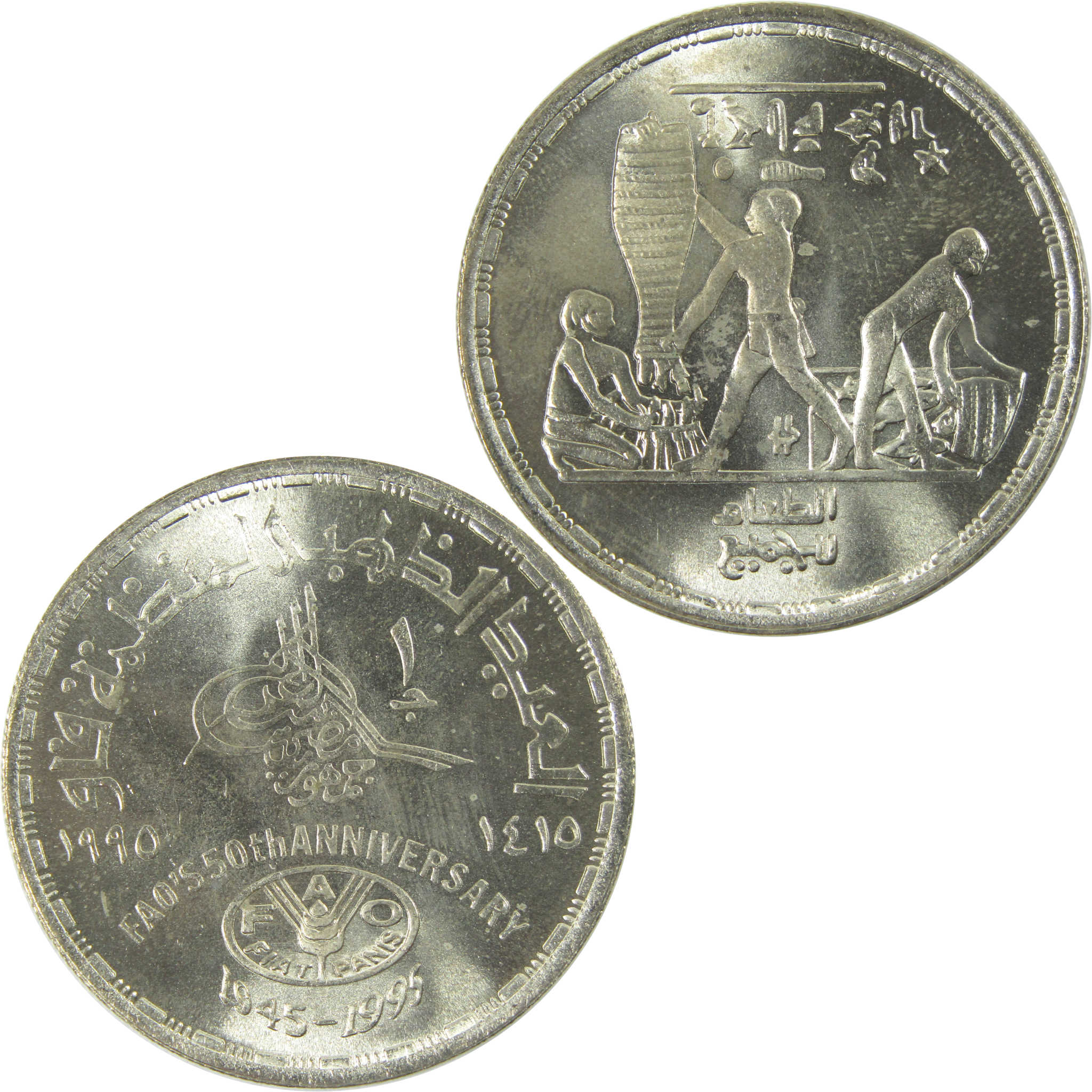 1995 Egypt FAO's 50th Anniversary 1 Pound Silver Coin Uncirculated