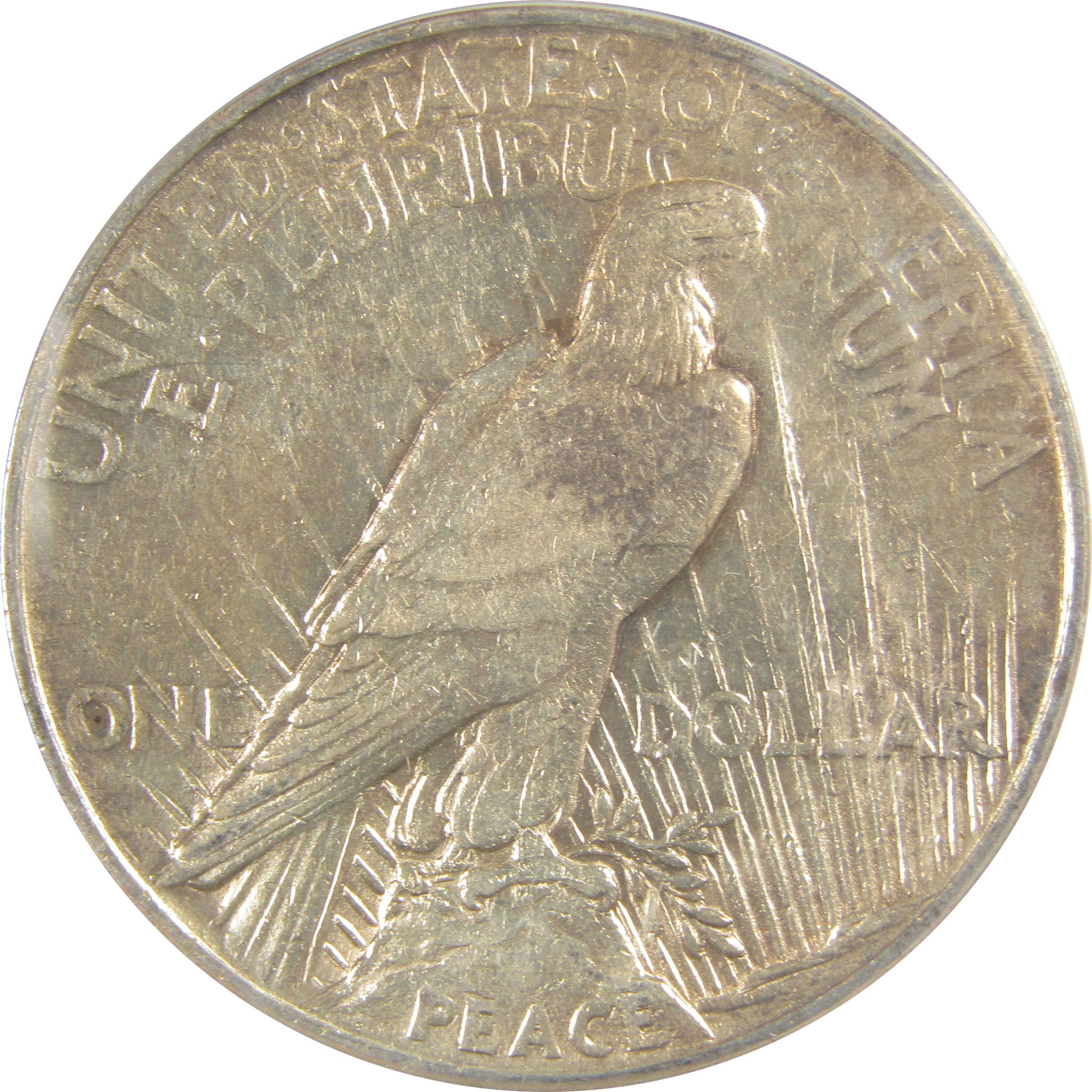 1921 High Relief Peace Dollar EF 45 Details ANACS Silver SKU:I21372