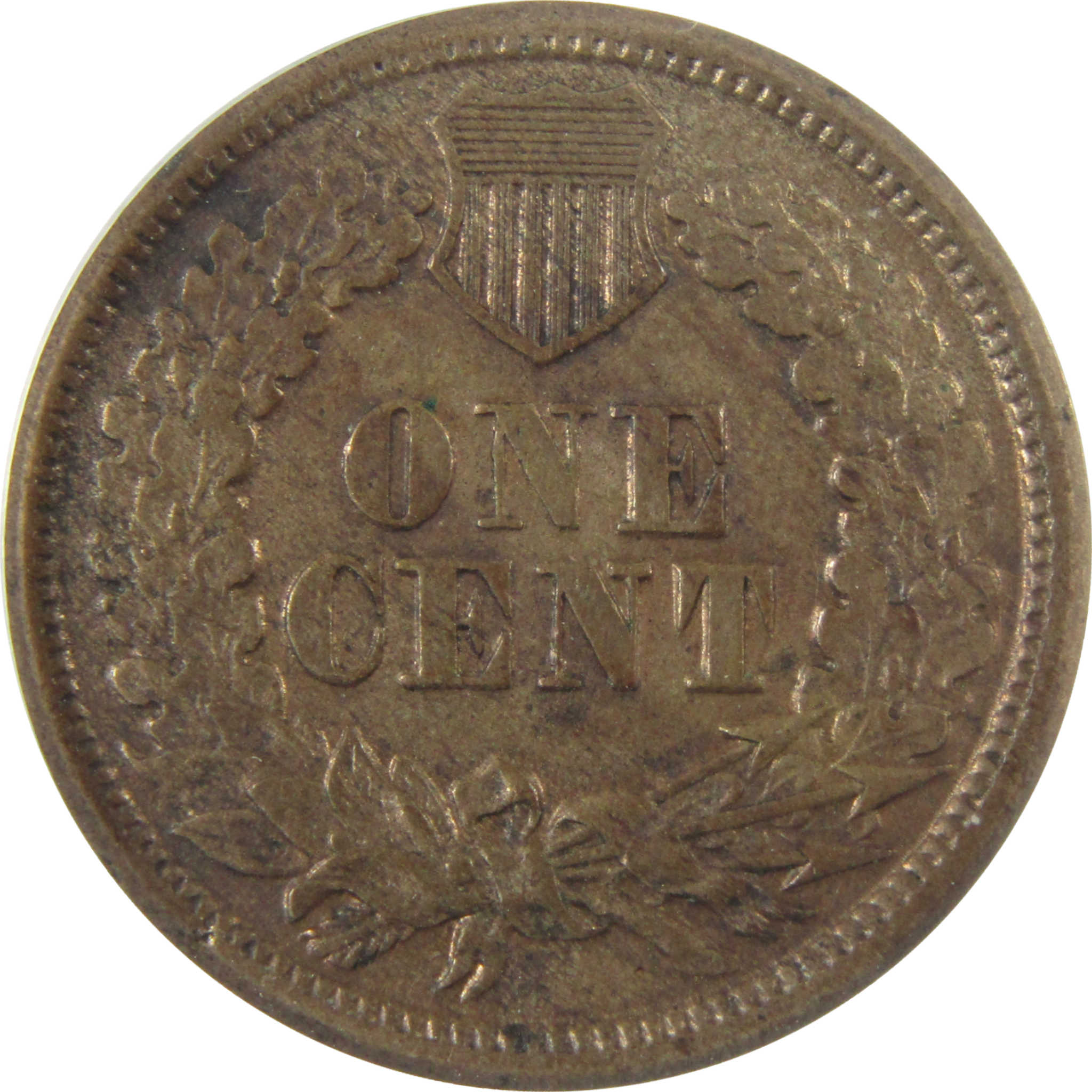 1861 Indian Head Cent MS 60 Details ANACS Uncirculated SKU:I28061