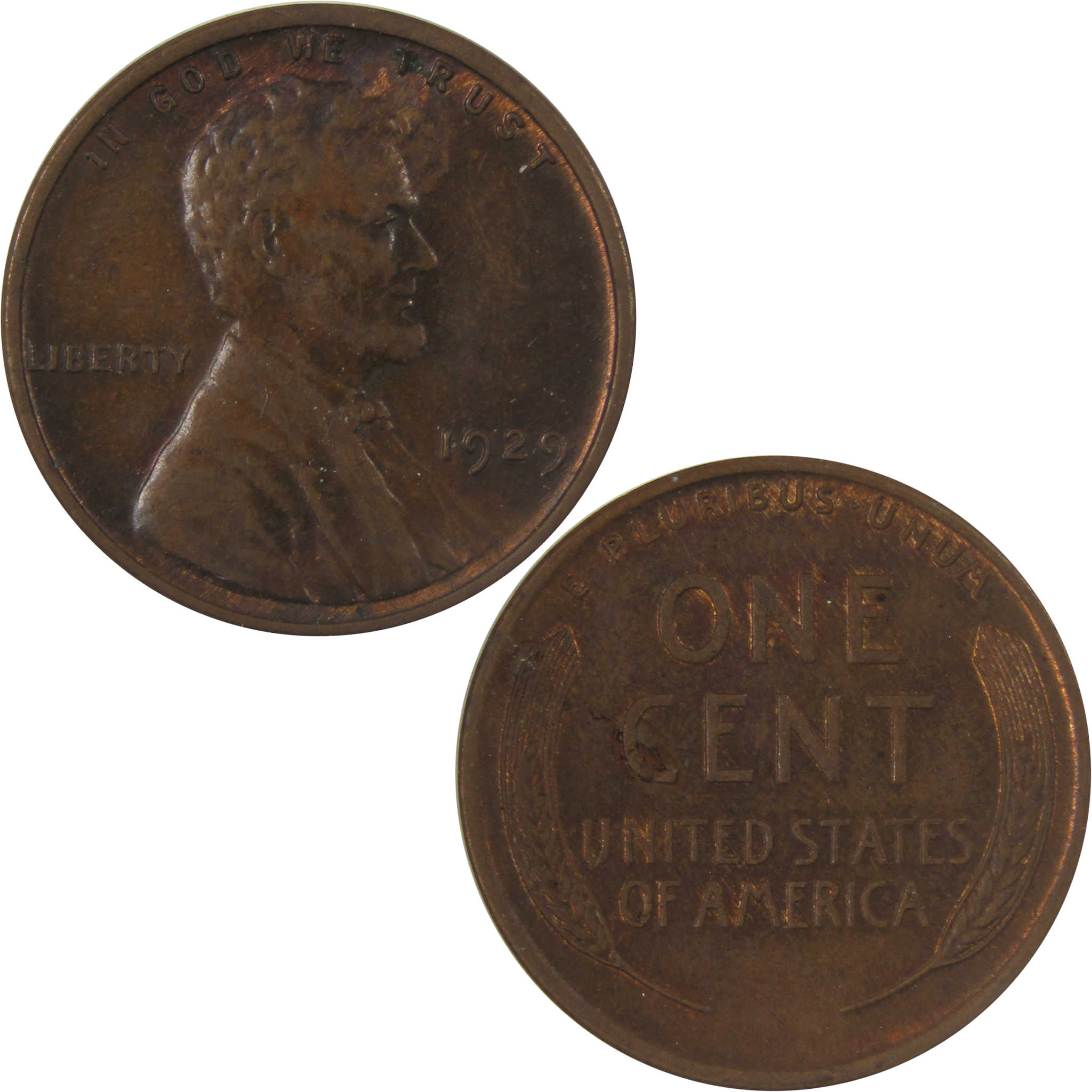 1929 Lincoln Wheat Cent Uncirculated Mint State Penny SKU:I25160