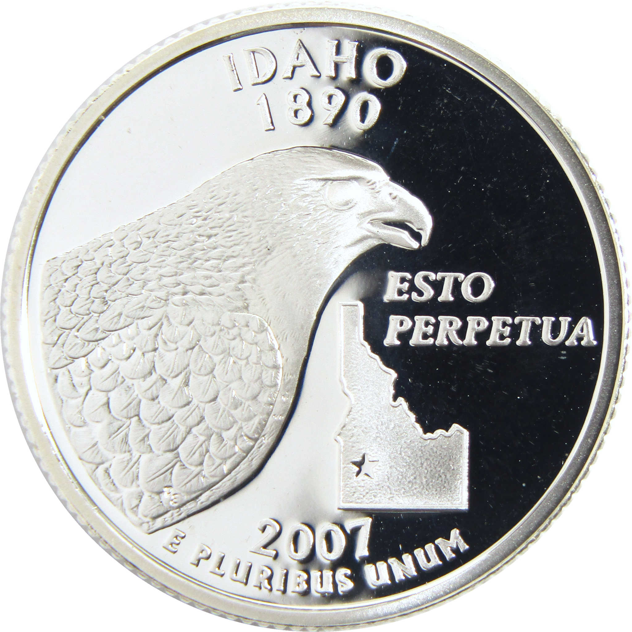 Idaho 2007 state quarter featuring peregrine falcon, state outline, and 'Esto Perpetua' text