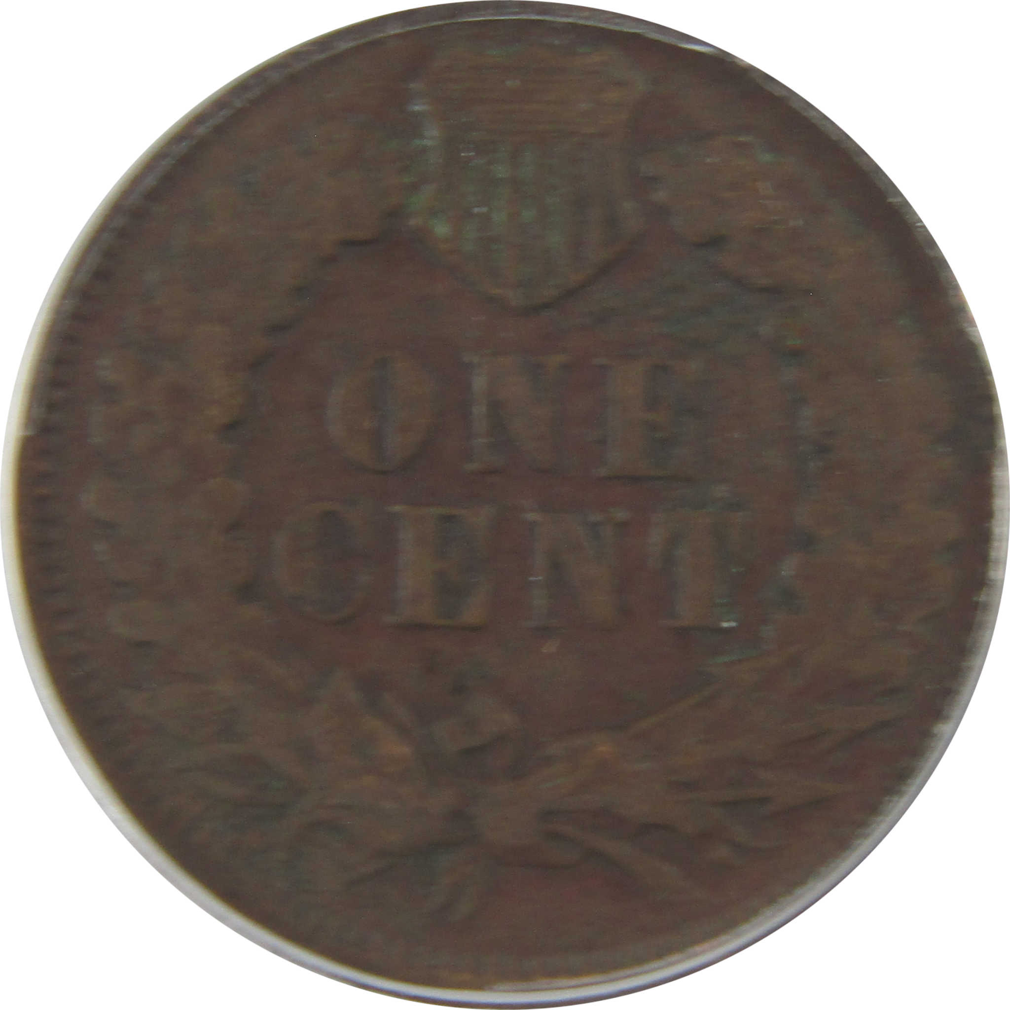 1878 Indian Head Cent VG 8 Details ANACS Penny 1c Coin SKU:I22276