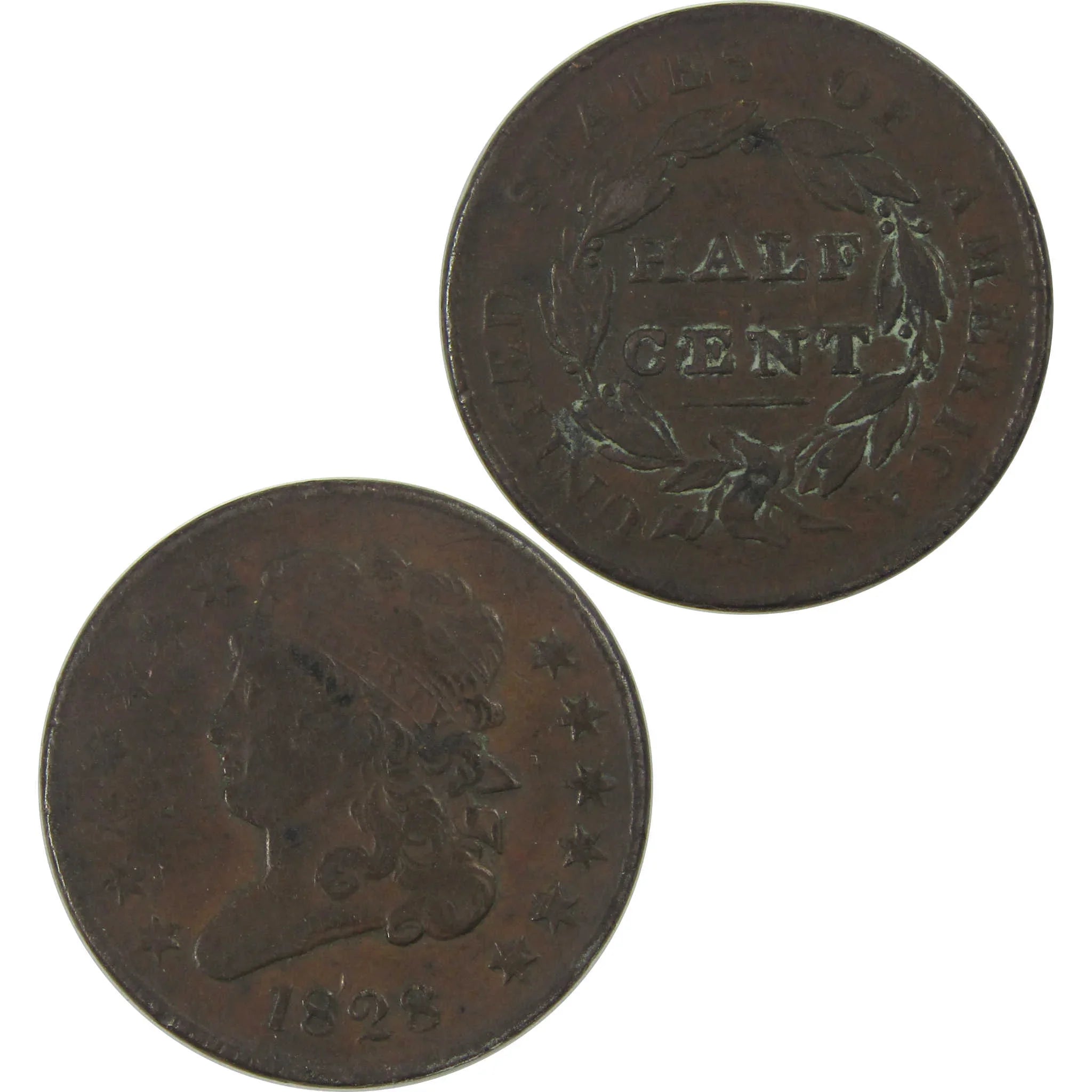 1828 13 Stars Classic Head Half Cent VF Details Copper SKU:CPC0570