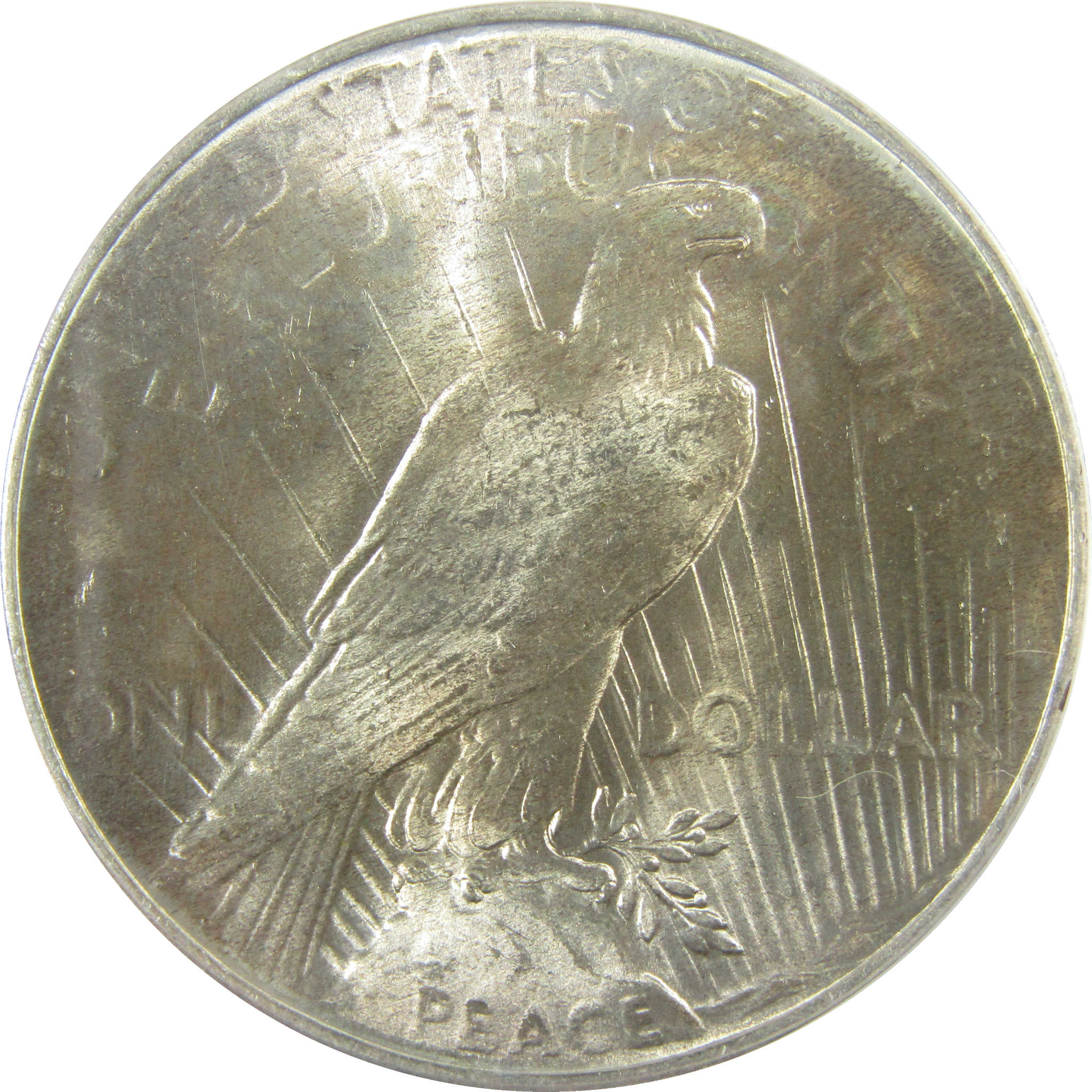 1925 Peace Silver Dollar MS 64 ANACS Uncirculated $1 CoinSKU:I28073