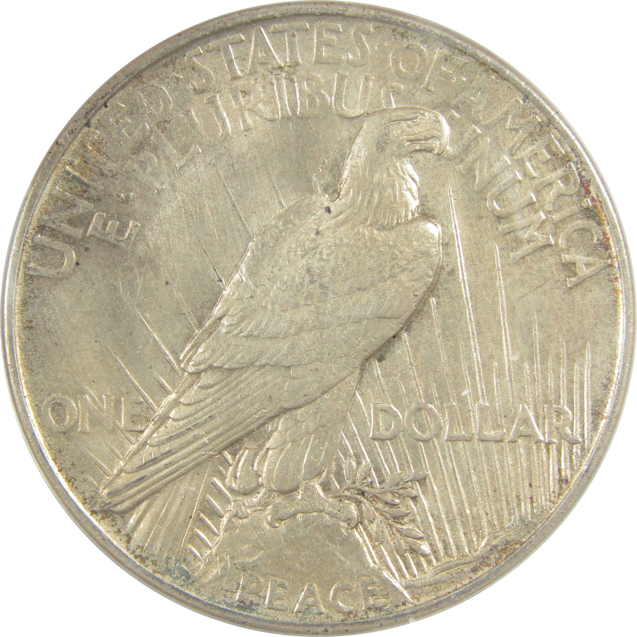 1921 High Relief Peace Dollar AU 53 Details ANACS Silver SKU:I21386