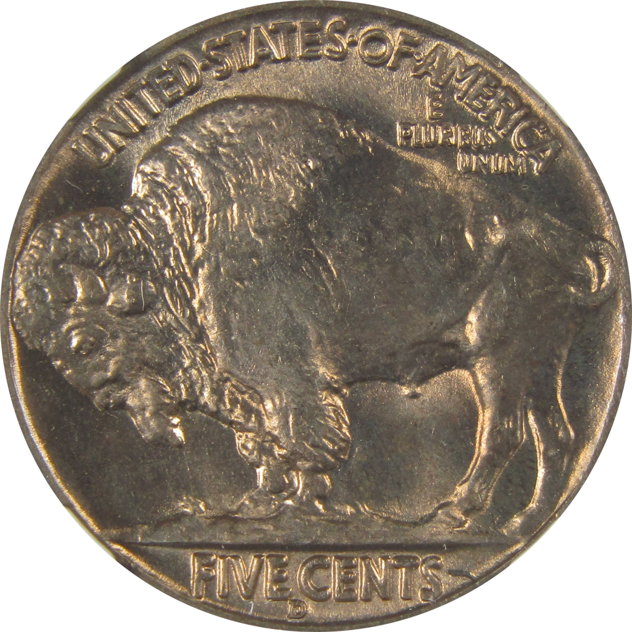 1936 D Indian Head Buffalo Nickel MS 66 NGC Bag Fragment SKU:I22660