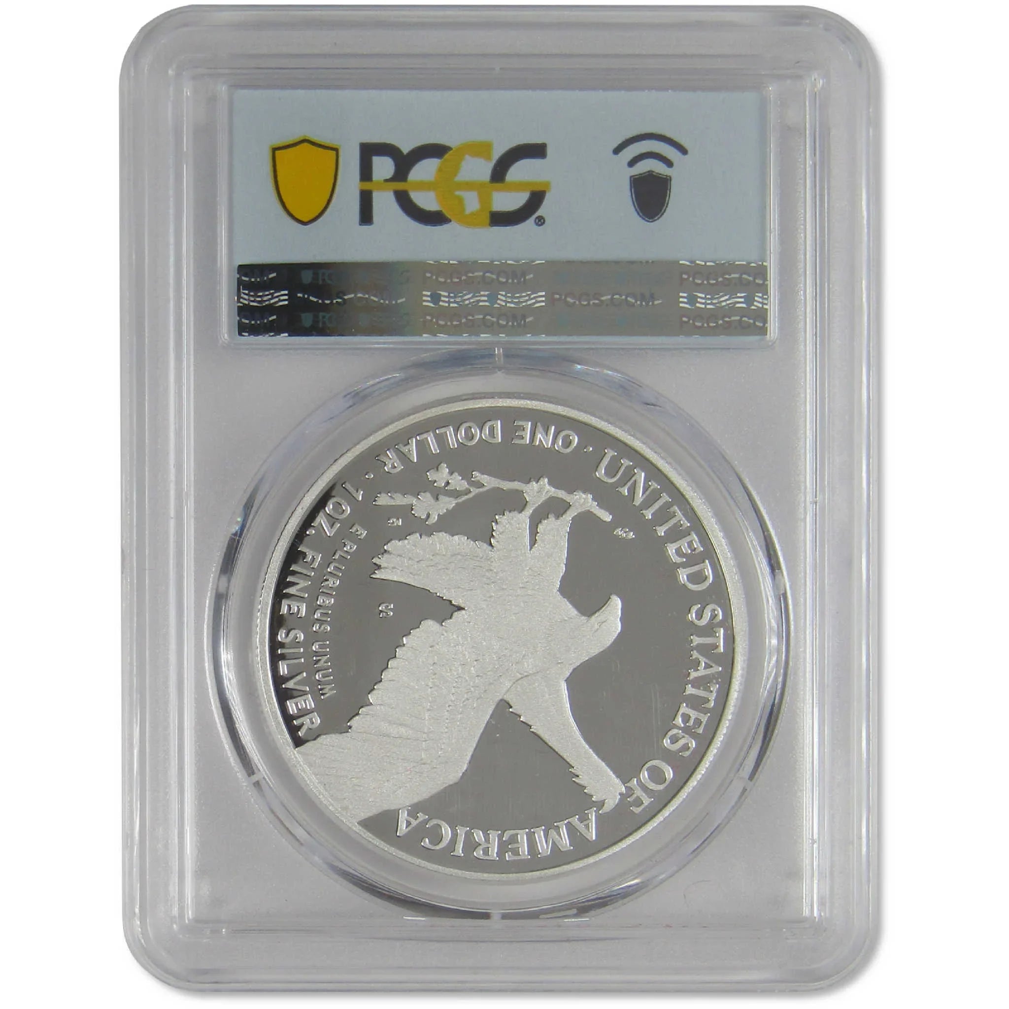 2023 S American Silver Eagle PR 70 DCAM PCGS Bullion Proof First Day