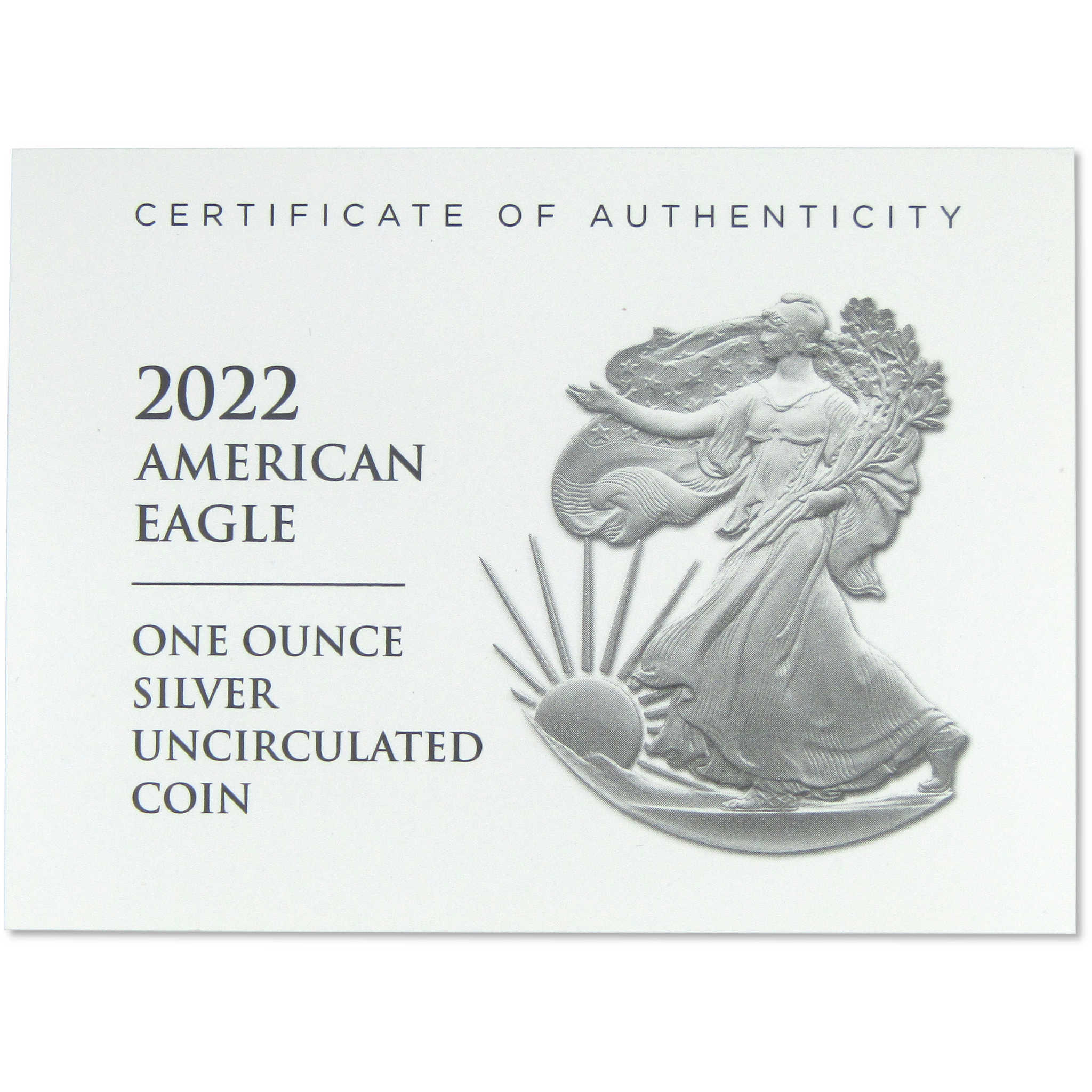 2022 W American Silver Eagle Uncirculated Bullion Burnished OGP COA